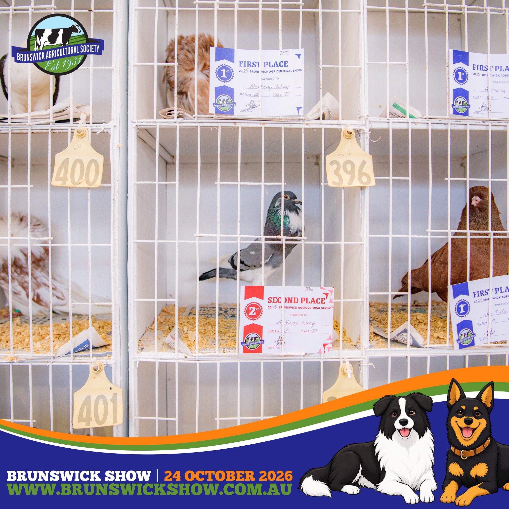 ๐ Got a bird worthy of a ribbon? Get your poultry entries ready for the Brunswick Show!
๐ Enter now + find all competition info: https://www.brunswickshow.com.au/competitions
Poultry Exhibits โ Biosecurity Disclaimer: The Brunswick Agricultural Society has implemented all required biosecurity measures and precautions regarding the current risk of avian influenza (bird flu). However, the health, welfare and biosecurity of all poultry entered and exhibited remain the responsibility of the individual exhibitor.
๐ BRUNSWICK SHOW 2026
๐ Brunswick Show Grounds
๐
Saturday 24 October 2026
๐๏ธ Info + Tickets: www.brunswickshow.com.au