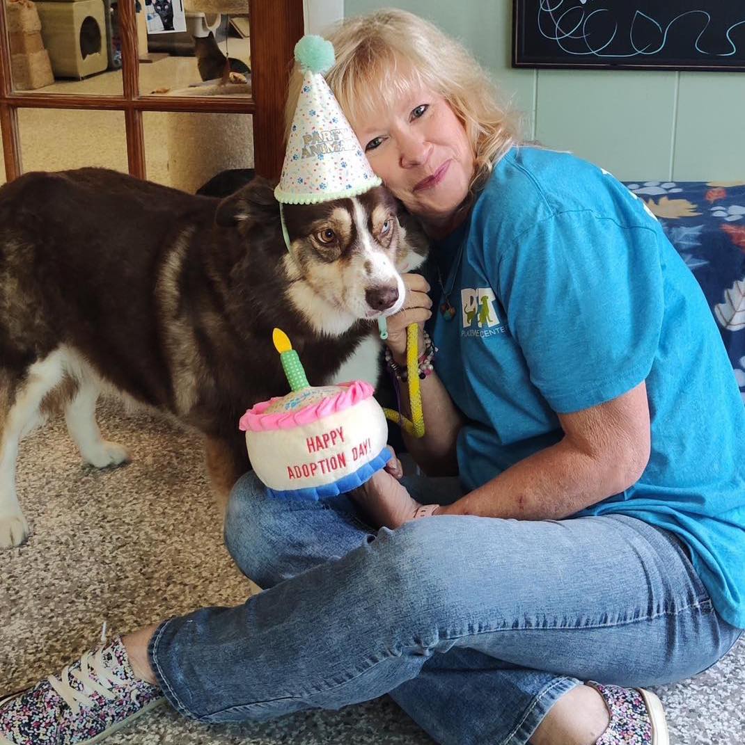 October is Adopt a Shelter Dog Month and for the 1st day of this great month we can share that Almond Joy, aka "AJ," has been officially adopted by none other than our very own Shelter Manager, Heather Woods!!!
AJ has been in our system for 1301 DAYS and her story is a wild one! She came to us extremely shy and undersocialized from a rural shelter in Georgia and escaped from the fence after only being with us for 6 days back in 2023. It took 10 months before she was located again and brought back to safety thanks to the diligence of a volunteer and the family that had been feeding her. By then, AJ was very pregnant and delivered 4 puppies within days of her capture. All of her puppies were adopted, but AJ herself remained fearful and mistrusting of most people. Over time, she formed a strong bond and attachment to Heather, following her around everywhere and even showing her tail wags. Most people were not priviy to these happy behaviors, but to Heather, AJ always showed her true self.
AJ has been going home with Heather for several months now and getting used to home life and the rest of the family gradually. She has always seen Heather as her "mom" and being with her is exactly where she wants to be. While we all knew this day was coming, we are so happy they have made it official. Congratulations to Heather and AJ!!!