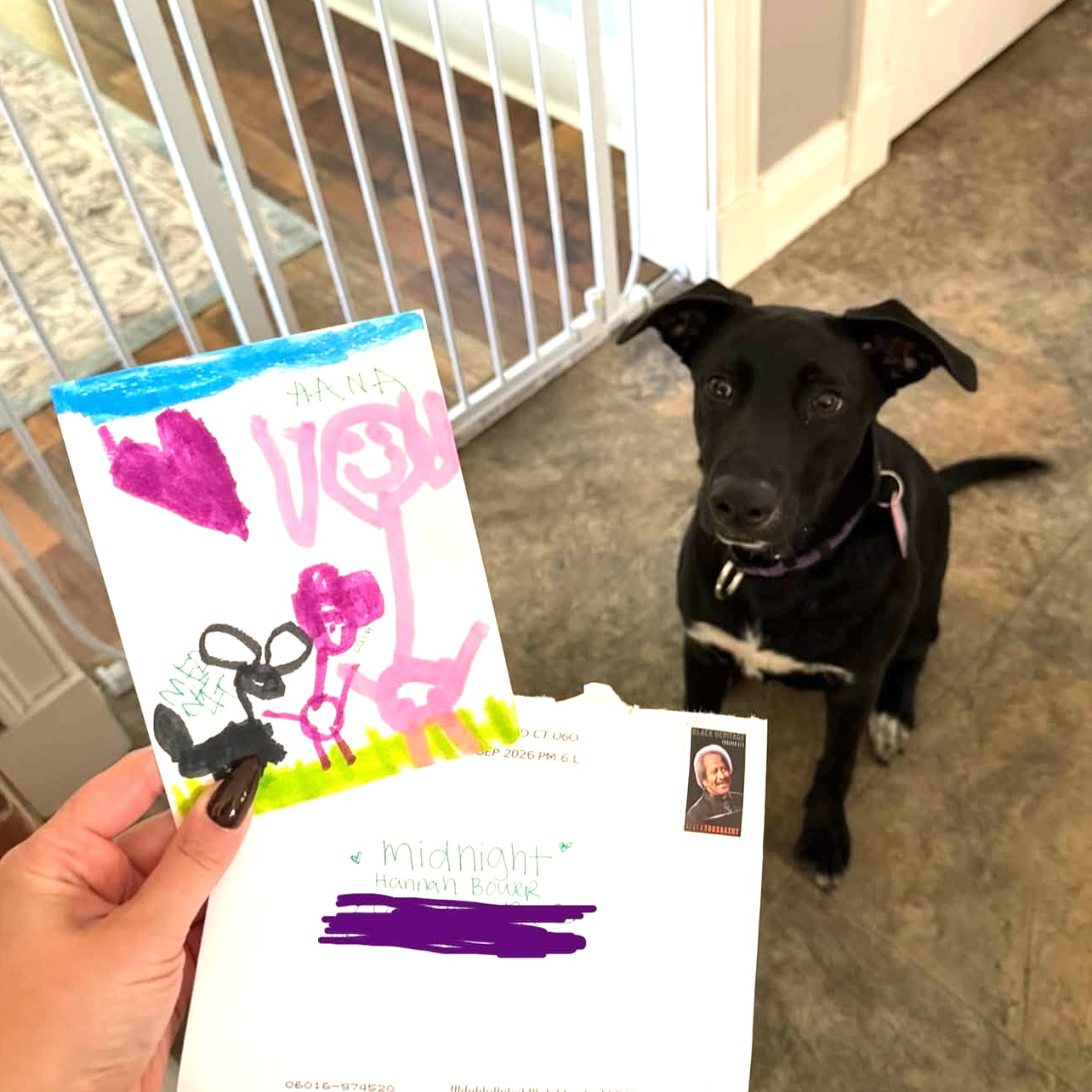 Adoptable Midnight got some adorable fan mail!
Midnight is a lovely, 9 month-old, potty & crate trained pup that can't wait to have fun with you! She’s been doing great in her foster home and has started to pick up on lots of good-girl cues like sit and down, but she is still young so positive reinforcement training would be a great way to bond and help her learn as she grows. She’s good with kiddos, does wonderfully with other dogs, and would be happy to join in as a dog sibling. Playing with toys is great fun, but she also really loves quality time with her favorite people, so having a family that is around more often than not and/or loves to bring their pup on adventures would make her day. She’s made it to the good life and she wants to enjoy it as much as possible!
Learn more about her and apply through the link in our bio...
.
#adoptabledog #rescuedog #rescuedismyfavoritebreed
