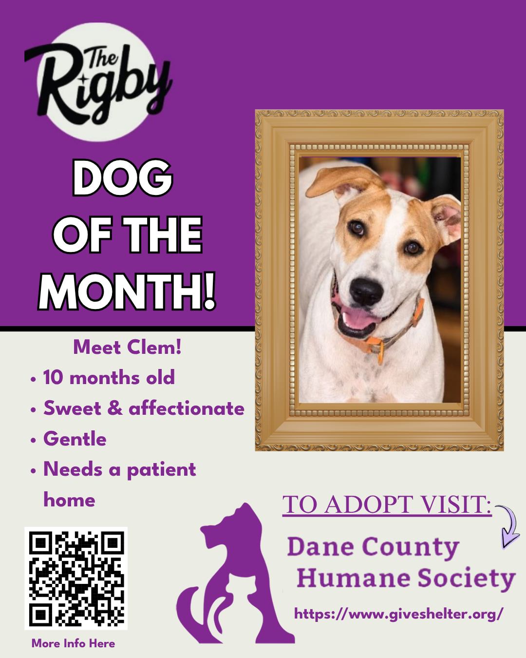 Meet Clem, The Rigby Dog of the Month! 💜 🐾
This sweet 10-month-old pup has already come such a long way. 🥹 After being rescued from Mississippi, Clem was understandably nervous and unsure of the world around him. With patience, care, and time, he’s blossomed into an affectionate, lovable pup who just needs someone willing to let him take things at his own pace. 🐶
Clem can still be a little nervous around new people and unfamiliar situations, and loud sounds can be overwhelming. But with the right person by his side, we know his confidence will continue to grow. ❤️
Could you be Clem’s person? Scan the QR code in the post to learn more about adopting through the Dane County Human Society.
#PetOfTheMonth #DaneCountyHumaneSociety #RigbyForThePeople #Dog #clem
@rigbypub @dchsgiveshelter