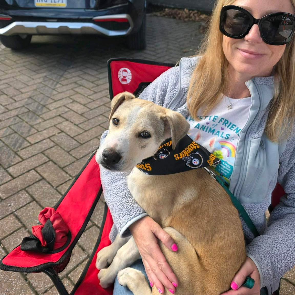 🐾🍂 Smalls is having a BIG day at Youghtoberfest!
Our sweet boy is gaining confidence with every new experience. So far today, he’s met a 130-pound Great Pyrenees, scored a very cool Steelers bandana, and even got some special treats from a pet bakery. Not bad for a morning out! 😄❤️
Smalls is taking it all in, meeting new people, and showing us just how well he can do when given a little time, patience, and encouragement.
If you’re in Ohiopyle today, stop by and say hello to Smalls and the FFOA crew! He’d love a few more friendly faces to add to his big day out. 🐶
#Youghtoberfest #MeetSmalls #ShelterDog #ConfidenceBuilding #AdoptDontShop #Ohiopyle #FayetteFriendsOfAnimals #KennelLicense2056
PA Kennel License #2056