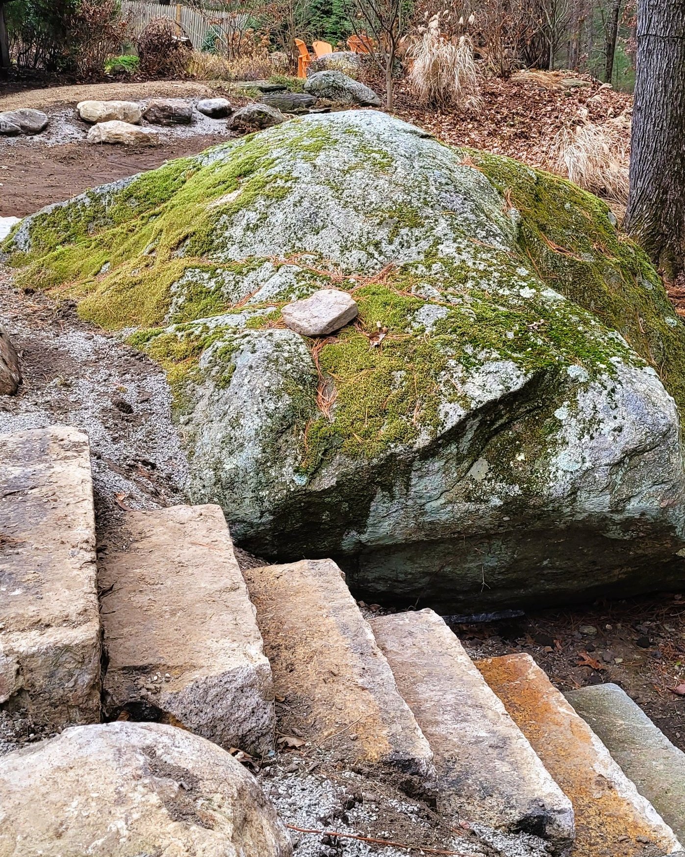 Often the best landscape designs don’t start with a blank slate, they work with what is already there. Existing boulders, reclaimed granite steps, and fieldstone found right on or near the property can become an important part of the design. Rather than removing these natural elements, we try to incorporate them into the design, creating walls, transitions, steps, and gathering spaces that feel as though they’ve always belonged there. The weathered stone adds texture and character, while the irregular forms soften the lines of the garden and blend naturally with the surrounding landscape.
And not to mention, these elements add the perfect backdrop for all your perennials, shrubs, and trees. Just look how beautifully and naturally this garden grew in! The result is a landscape that feels less constructed and more connected to its setting.
@lindatoddsherman
@garysherman99
@dpturf.irrigation
#NaturalLandscaping #NewEnglandLandscape #LandscapeDesign #ReclaimedStone #AngieVergeLandscapeDesign