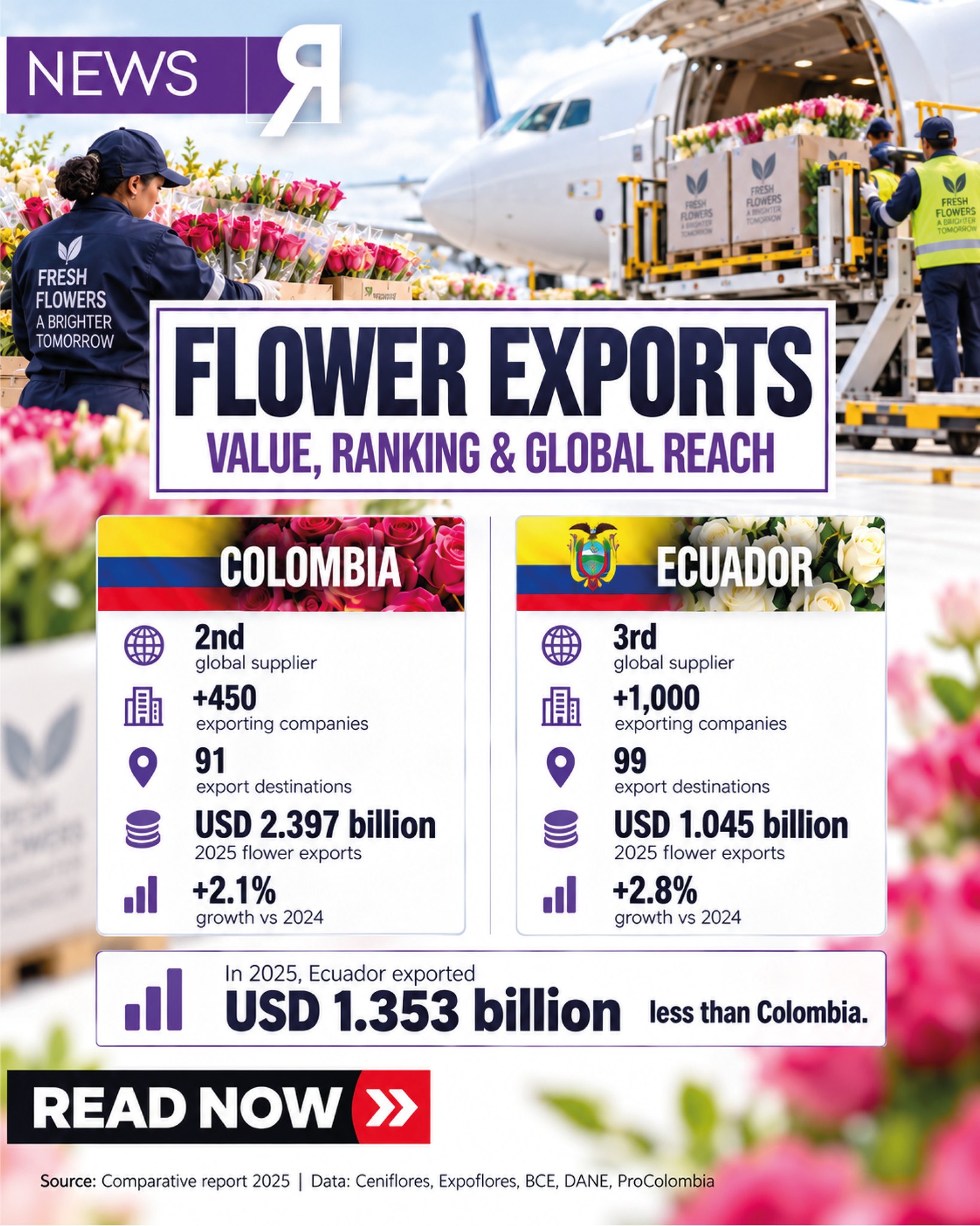 🌍 FLOWER EXPORTS: VALUE, RANKING & GLOBAL REACH
Ecuador and Colombia continue to play a major role in the global flower industry, each with a different scale, structure and international reach.
🇨🇴 Colombia ranks as the 2nd global flower supplier, with more than 450 exporting companies, 91 export destinations, and USD 2.397 billion in flower exports in 2025. Its exports grew 2.1% compared with 2024.
🇪🇨 Ecuador ranks as the 3rd global flower supplier, with more than 1,000 exporting companies, 99 export destinations, and USD 1.045 billion in flower exports in 2025. Ecuador recorded 2.8% growth compared with the previous year.
In value terms, Ecuador exported USD 1.353 billion less than Colombia in 2025, according to the Expoflores comparative report.
Two neighboring countries, two important flower industries, and a strong presence across international markets.
📊 Source: Expoflores, Comparative Report Colombia–Ecuador 2025.
Data: Ceniflores, Expoflores, BCE, DANE and ProColombia.
At The Flowers of Ecuador, we share the data behind the industry to help our international community better understand the markets, companies and trends shaping global floriculture.
#TheFlowersOfEcuador #FlowerExports #EcuadorianFlowers #EcuadorianRoses #ColombianFlowers #Floriculture #FlowerIndustry #GlobalFloriculture #FlowerMarket #InternationalTrade #FloralIndustry
