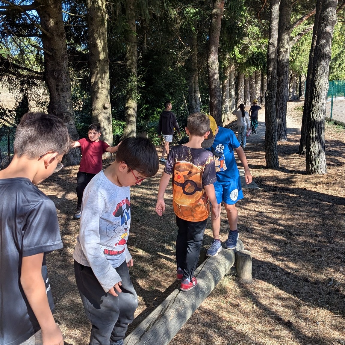 🐦🦅🦉Nous sommes partis à l’aventure, les oreilles grandes ouvertes !
Mercredi, avec les groupe des 7-8 ans et des 9-1 ans nous sommes partis en balade à la recherche des chants et des cris des oiseaux qui nous entourent. Entre observation, écoute et découvertes, nous avons joué les petits explorateurs de la nature !
Une balade pleine de curiosité, de surprises… et de jolis chants d’oiseaux !
