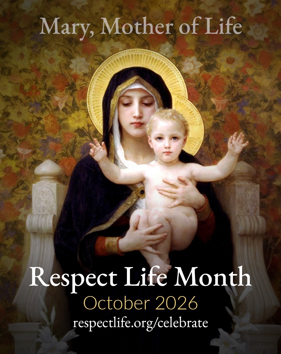 "The life of the Blessed Mother teaches us to respect each human life in every stage and circumstance." The USCCB's annual reflection on Respect Life Month, which is observed each October, carries a strong voice this year. CCEW stands behind this message, as we pledge to cherish the gift of life and the dignity of all humans - at every stage and in every circumstance, from womb to tomb.
Read the USCCB statement at the link in our bio.
#respectforlife #CCEW #catholiccharities