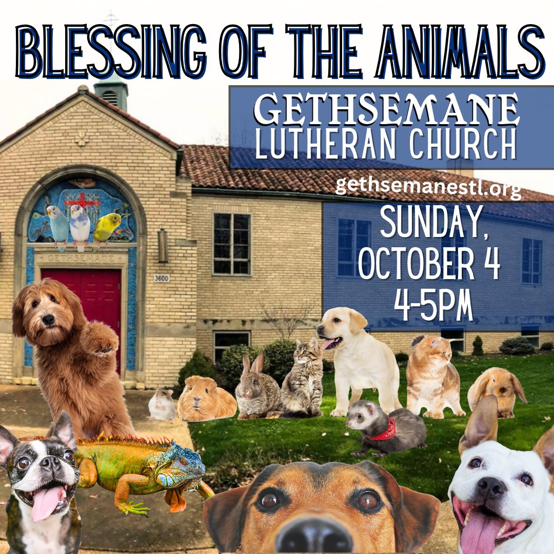 All creatures great and small are welcome!
Join us outdoors at Gethsemane on Sunday, October 4, from 4:00-5:00 p.m. for our annual Blessing of the Animals. In honor of the Feast of St. Francis of Assisi, we'll gather with our beloved pets for a special blessing, a fun craft activity, and treats for both animals and humans.
Whether your companion is furry, feathered, or scaled, we'd love to meet them! (Please keep all pets safely leashed or in carriers.)
Free and open to the community. Invite your friends and neighbors!