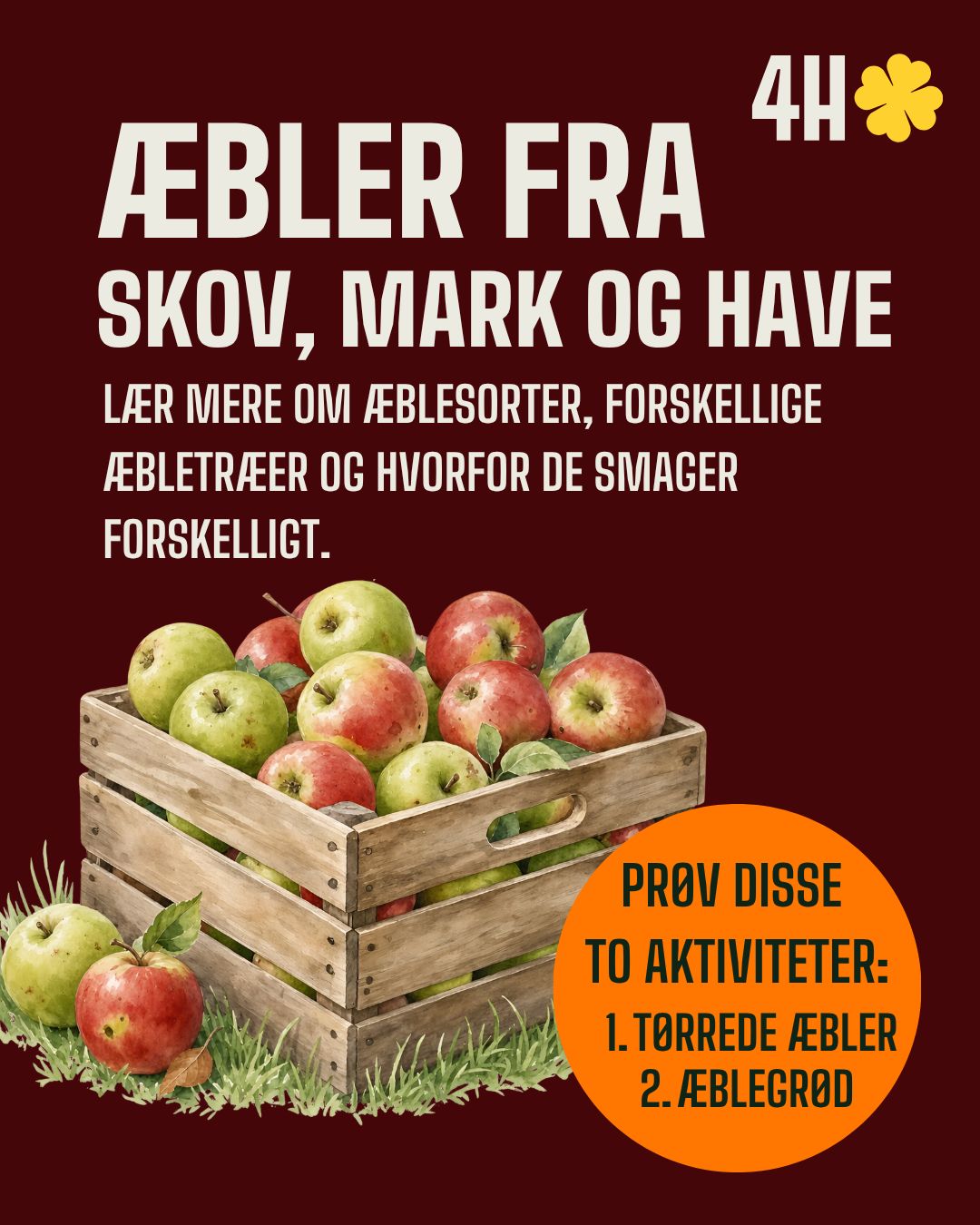 Efterårs sæsonen er for alvor over os - det samme er æble sæsonen. 🍎
Her er to hyggelige aktiviteter, hvor æblerne kommer i centrum: Lav jeres egen æblegrød eller prøv kræfter med tørrede æbler.
Find de fulde aktivitets beskrivelser på 4H.dk.🍀
Link: https://www.4h.dk/inspiration