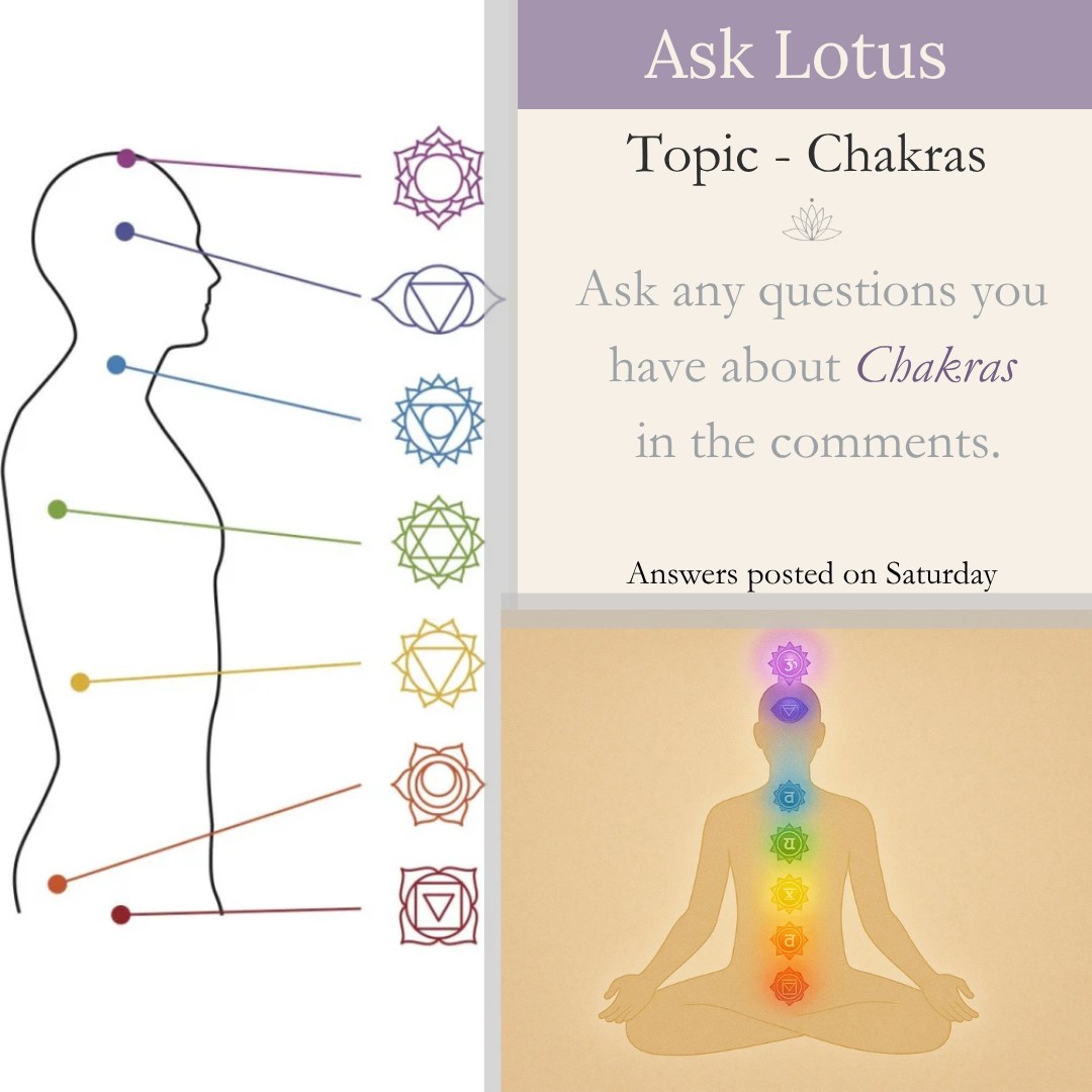 Ask Lotus🪷
Questions about Chakras? Now's your chance to ask!
Comment your questions for our 'Ask Lotus' segment, and I'll share the answers this Saturday. Can't wait to hear what's on your mind!
#lotuswholistictherapy #awakendiscoverthrive #trentonmi #yoga #massage #health #downrivermi #chakras #AskLotus