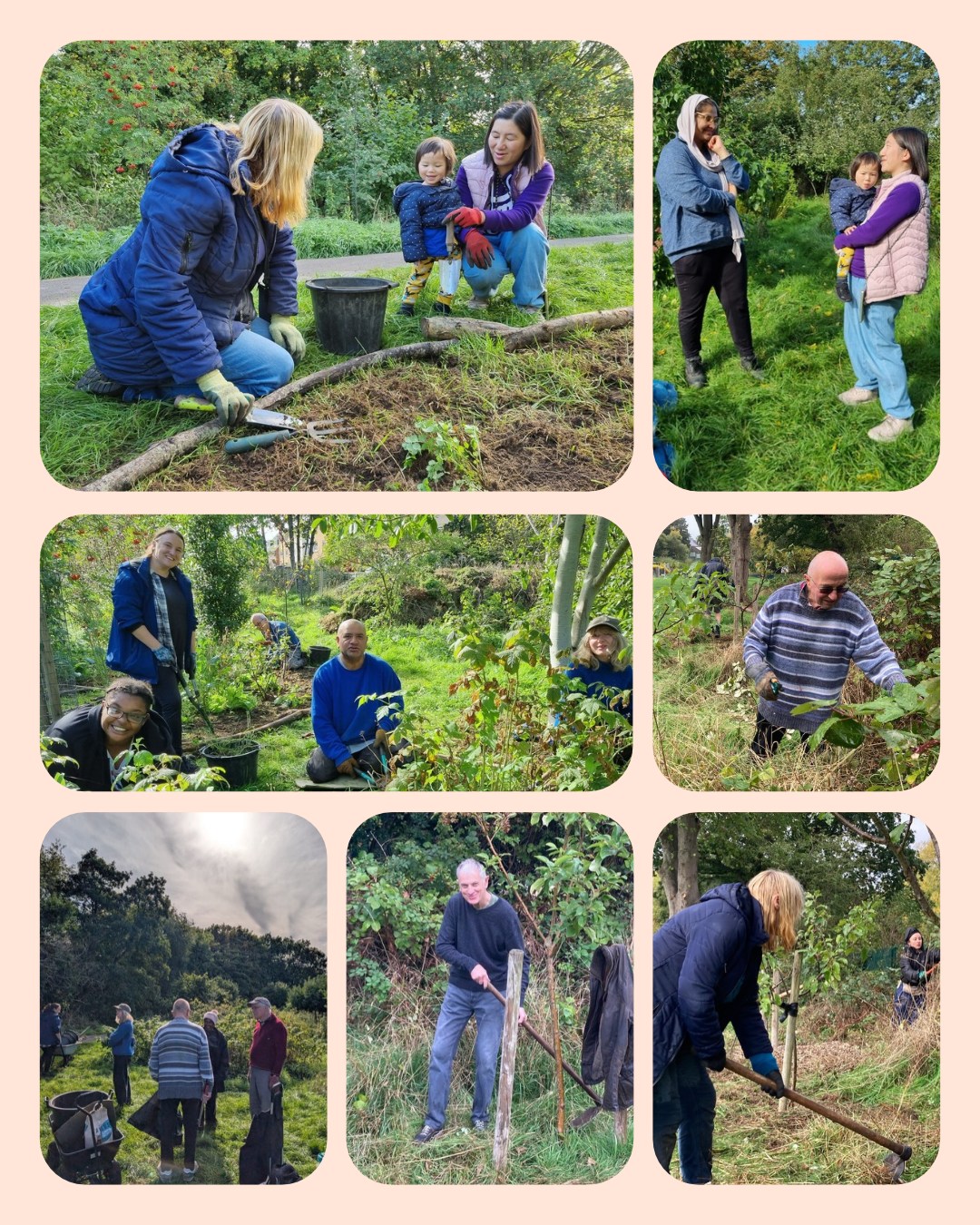 Two lovely session in our #FruitAndNutVillage #Stirchley!
Sunday morning at #NewlandsRun. We're working to ensure the trees in Row 1 are clear of any undergrowth, and they're currently looking great!
We also had a beautiful Monday morning at #KingdomForestGarden. Thank you to all of the fabulous team for working so hard.