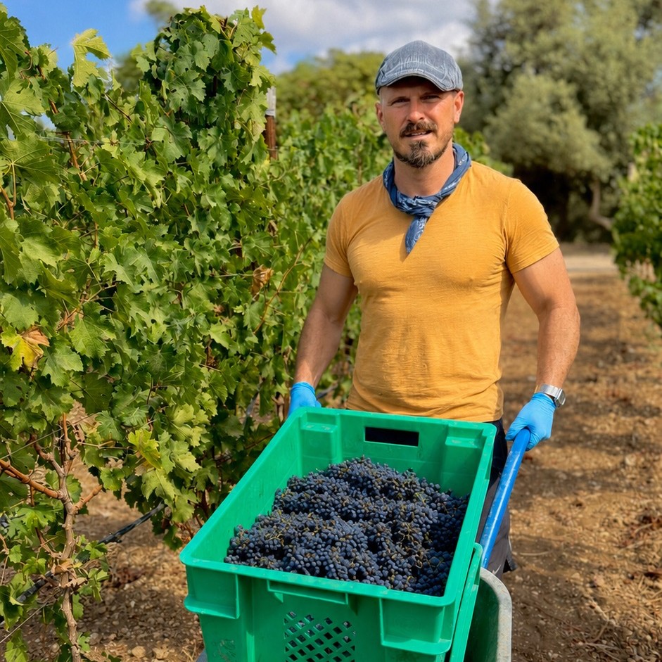 2026 was a demanding vintage.
Ripening was uneven in places, and ensuring freshness meant returning to some parcels rather than harvesting everything at the same time… This was a season that rewarded observation and patience over rigid planning.
But there were some particularly satisfying moments:
We reconnected with the grower who supplied us with grapes when we first began making wine in a garage in 2005. We also picked the first fruit from the Luginsland vineyard and introduced several new sites, including a parcel near the winery in Dingli.
None of this is especially dramatic, but together these developments give us a clearer understanding of the vineyards, varieties, and places we want Markus Divinus to represent.
These wines are now in tank and barrel. It is far too early for grand conclusions, but we’re pleased with the freshness, character and individuality that will make 2026 a particularly interesting vintage to follow! Stay tuned.
