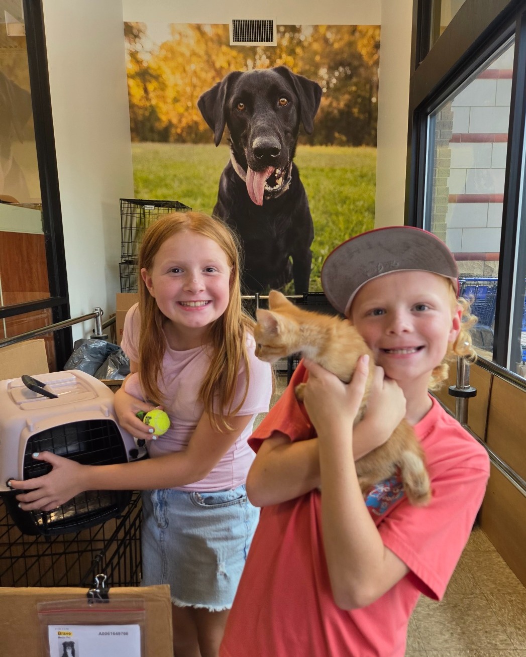 Look who found their new best friends!๐๐พ
Weโre still smiling over this weekend! So many HSNT pets found families at our @petsmart adoption events, and we couldnโt be more excited for all of them!
From big dogs to tiny kittens, there were so many special matches made! Adoption days are always full of surprises, but seeing a pet leave with their new family never gets old.
We hope these happy faces are the start of many years of cuddles, adventures, and being loved exactly as they deserve. ๐ฅน
Didnโt find your match this weekend? There are still so many pets waiting. Visit our website to find yours! @petsmartcharities #ShelterDog #RescueDog #petsmart #petsmartcharities #DogsofFortWorth