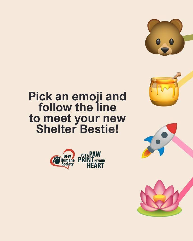 Your next best friend might be just one emoji away 👀 Pick your emoji, follow the line, and see which DFW Humane Society cutie is waiting to meet you!
Did you get your perfect match? Check out their profile and come meet them in person at dfwhumane.com/adopt!
📧 Interested in adopting? Email: adopt@dfwhumane.com
📍 4140 Valley View Lane, Irving, TX 75038
🕐 Hours: Tues–Fri 11am–6pm | Sat 10am–5pm