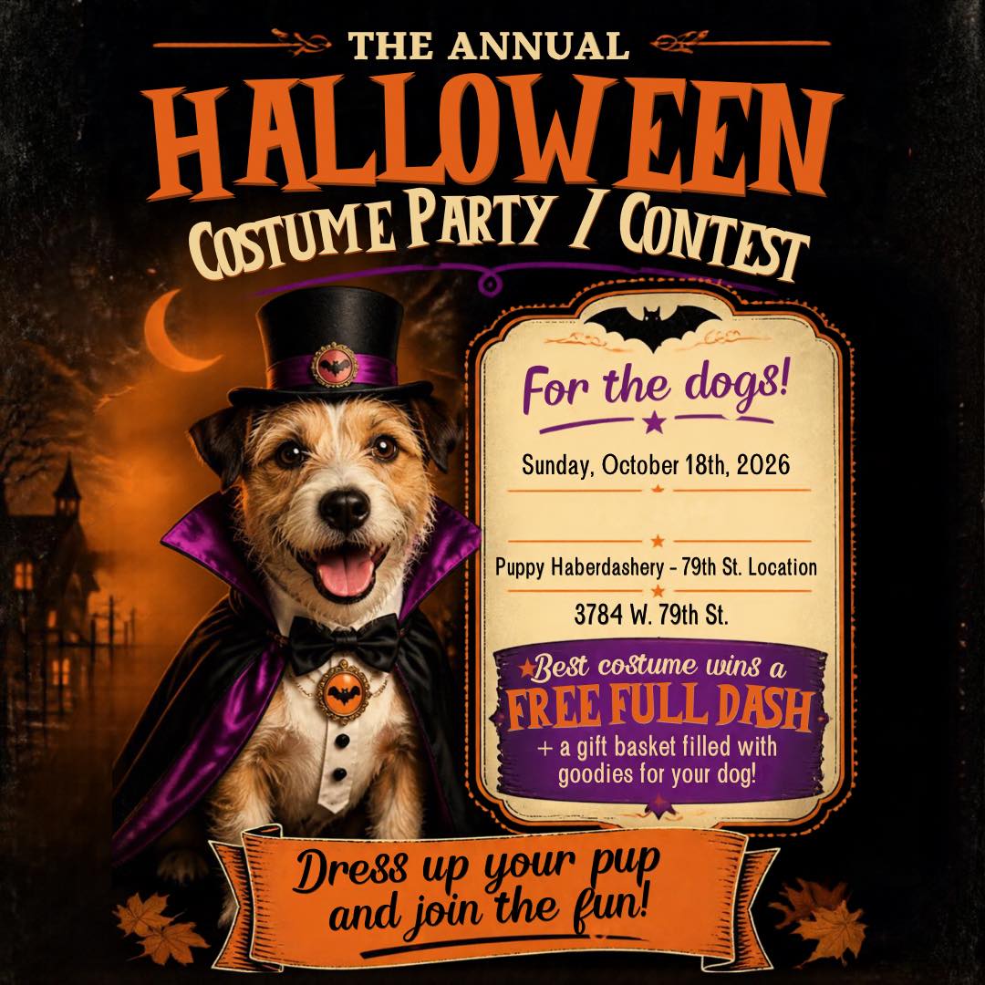 ๐๐พ Calling all spooky pups! Join Puppy Haberdasheryโs Annual Halloween Costume Party & Contest! Bring your dog dressed to impress for an afternoon of fun and socializing with other dogs! ๐ป๐ถ
๐
October 18 | 2โ4 PM
๐ 3784 W. 79th St.
๐ Best costume wins a FREE Full Dash + a gift basket of goodies for your dog!
Tag your dogโs bestie and make it a playdate! ๐งก๐
#PuppyHaberdashery #DogHalloween #DogCostumeContest #ChicagoDogs #ChicagoDogEvents #dashed #puppyhaberdashery