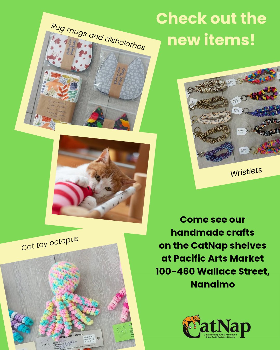 The next time you're in Downtown Nanaimo, be sure to stop by Pacific Arts Market and see the unique items handcrafted by our talented CatNap volunteers.
We’ve restocked the shelves and added some new items. Octopus play toys for cats? So cute! We have dishcloths, rug mugs, and more.
Many thanks to Pacific Arts Market for providing CatNap with the shelf space to display and sell our crafts. All funds go to support locally rescued cats.
You’ll find us alongside other amazing artisans at #100 – 460 Wallace Street, Nanaimo.
PS – While you won’t find this cute cat on our shelves, CatNap always has adorable cats ready for adoption – visit our Facebook page.