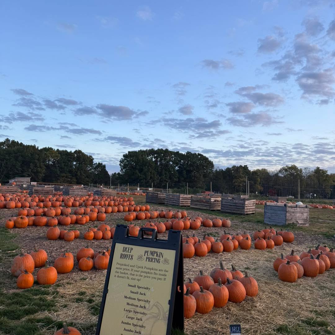 We are looking forward to another amazing fall day on the farm, even though it may feel a little like summer 😂☀️🍂
Saturday Hours: 9am-10pm
Wondering where to start when you get here?
🍂 Come into the market to: order food/drinks, shop for produce and local goods, purchase feed cups for the petting zoo or use the indoor restrooms
‼️ No admission required for: the market, petting zoo, upick pumpkins or ucut flowers
🌽 Exploring the maze or 2 acre play area? Stop at the ticket booth! Admission is required for these two areas only
🎃 Coming for pumpkins? Grab a red wagon, pick from our prepicked selection or head to our upick field. Pro tip: the HUGE carvers can be found out in Upick. Pumpkins range from $4-14.
🌸 We still have upick flowers! Pick a cup for $12 before it frosts next week. Check in at the ticket booth for a cup and shears.
🐴 Hayrides today: Saturdays only - 11am-3pm. Check in next to the ticket booth
🪩 Glow night in the maze will run tonight from 7pm-10pm. Last daytime entry for the maze is 6pm (all daytime maze goers must exit by 7pm.) Glow night admission will start promptly at 7pm; LAST admission 9:20pm
🛝 The play area will close at dusk
🍩 Farm kitchen will close at 9:45pm
A couple of reminders:
🫶 We LOVE sharing our farm with you, but the amount of litter lately has been out of control. Please be respectful & toss your trash. Our crew works hard to keep things clean, but we’d love your help too!
‼️Children 15 and under MUST be accompanied by an adult on the farm at all times. This applies to all activities: the maze, Farmyard, petting zoo, etc.
♥️ Be kind please. Our staff is working so hard to give everyone a wonderful experience!