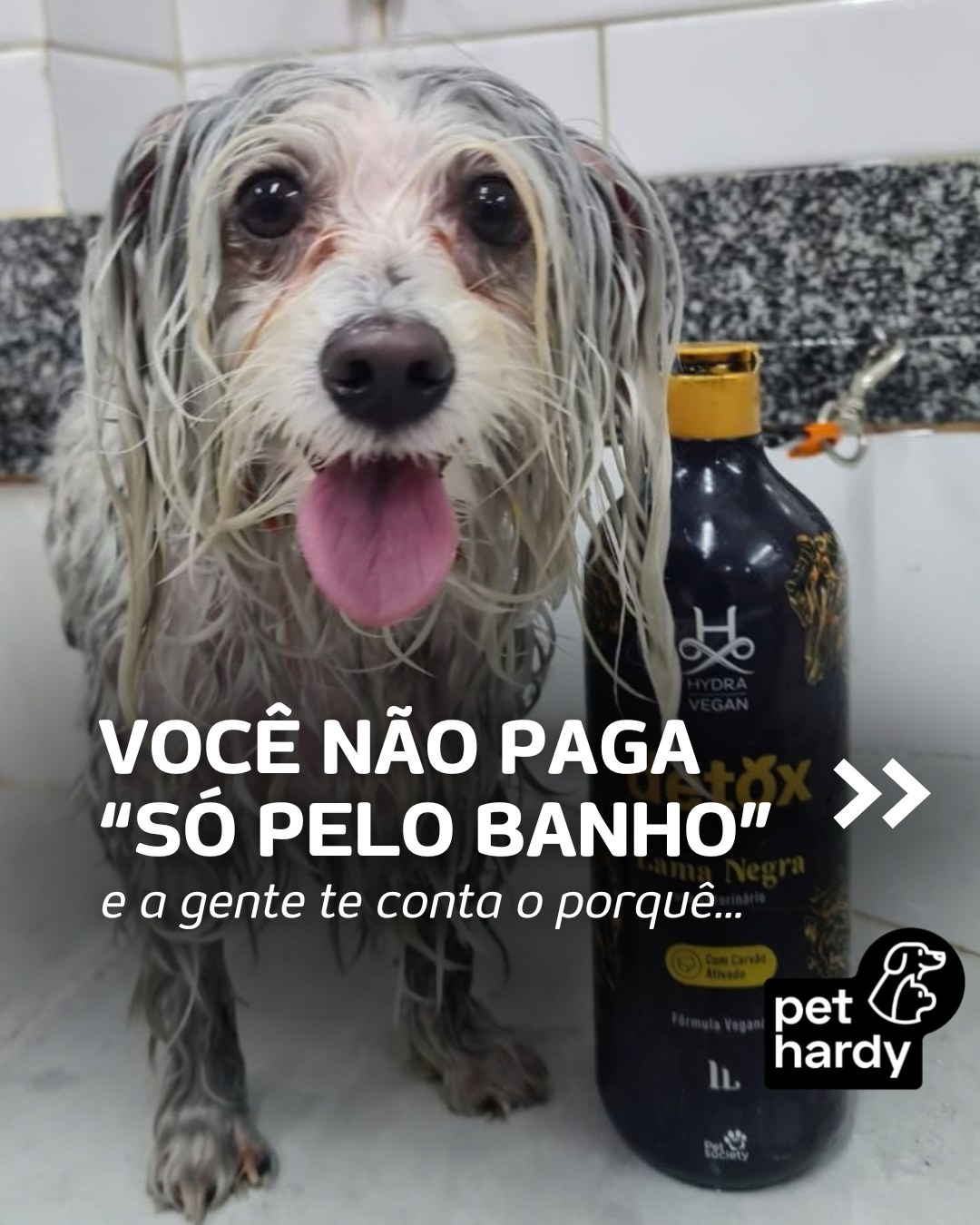 Você já parou para pensar em tudo o que está por trás daquele cheirinho gostoso e do pelo macio do seu companheiro de 4 patas? 🧡 ✨
Aqui na Pet Hardy, o momento do banho e tosa não é apenas um processo estético rápido. É um atendimento especializado e individualizado, pensado com todo o rigor técnico, segurança e afeto que o seu melhor amigo merece.
Quando você escolhe o nosso banho e tosa, você escolhe:
✨ Cosméticos de alta performance e seguros para a pele;
✨ Profissionais capacitados para o manuseio calmo e respeitoso;
✨ Ambiente limpo, higienizado e totalmente equipado;
✨ Um carinho sincero do momento em que ele chega até a hora de ir para casa! 🥰 🐾
O seu amiguinho merece esse nível de cuidado! Mande uma mensagem para a nossa equipe e agende o horário dele para esta semana! 👇
📲 WhatsApp: (11) 2893-2357
📍 Pet Hardy — Moema / Indianópolis
#PetHardy #BanhoETosa #AtendimentoEspecializado #EstéticaPet #CuidadoComAmor #PetShopSP #Moema #Indianópolis #SaúdePet #PetCheiroso #RespeitoAnimal