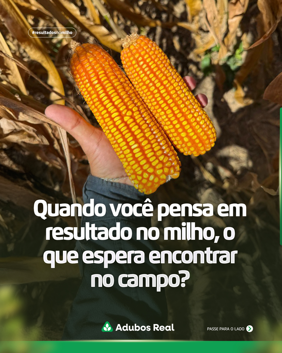 Uma boa produção de milho é construída ao longo de toda a safra. 🌽
Da escolha das sementes ao manejo, cada etapa precisa estar conectada à realidade da área e aos objetivos do produtor.
É por isso que olhamos para a lavoura de forma completa: tecnologia, acompanhamento e soluções personalizadas para cada etapa da produção.
#Milho #Safra #Plantio #Sementesdemilho #adubosreal #manejodecereais