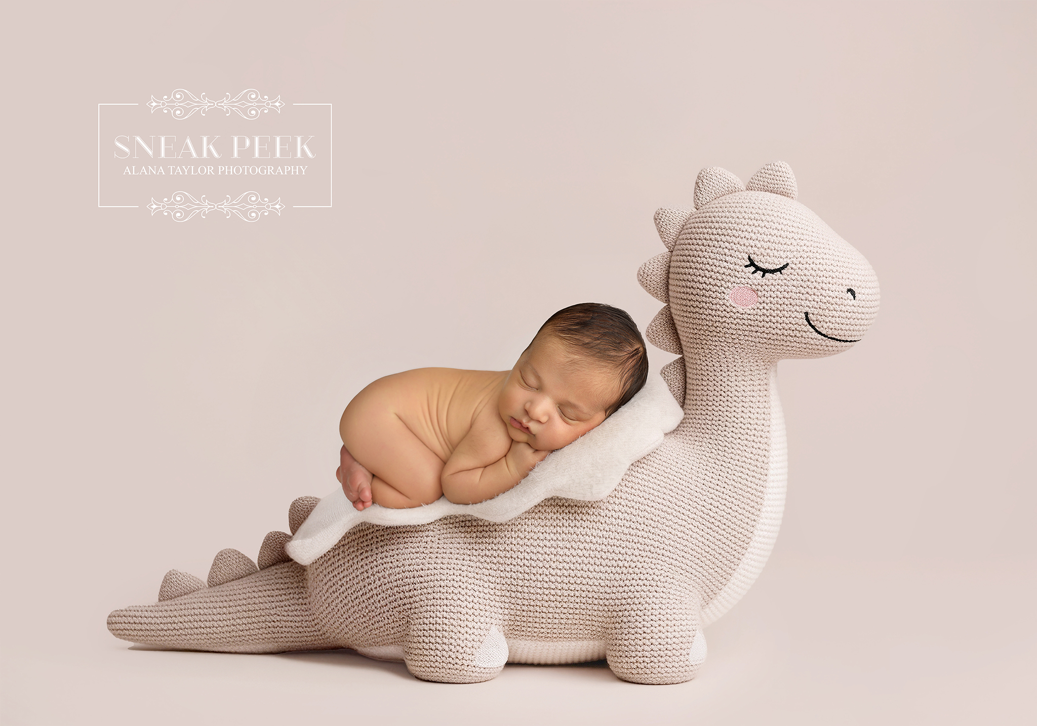 Nothing says “welcome to the family” quite like a big sister getting promoted to management. 😂🤍
Beautiful little Hamadaan came into the studio for his newborn session, with big sister Ilyana joining him for some seriously sweet sibling photos.
And honestly, these two together? Ridiculous. 🥹
Tiny newborn snuggles, those gorgeous little details you wish you could freeze forever, and a very proud big sister right there beside him.
Because newborn photos are beautiful on their own… but adding an older sibling into the mix brings a whole different kind of magic. And approximately 47% more unpredictability. 😂
Welcome to the world, Hamadaan. 🤍
📍 Newborn Photographer Clyde, Melbourne South East
Newborn Photography • Baby Photography • Sibling Photos • Melbourne Newborn Photographer
#MelbourneNewbornPhotographer #NewbornPhotographyMelbourne #ClydePhotographer #MelbourneBabyPhotographer #NewbornPhotosMelbourne #SiblingPhotography #MelbourneMums #ClydeNorth #caseymums
Melbourne’s Leading Newborn and Cake Smash Photographer – Book Early!
- Newborn Photography Melbourne
- Smash Cake Photography Melbourne
- Newborn Photographer Melbourne
- First Birthday Cake Smash Photos Melbourne
- Cake Smash Photography Near Me
- Cake Smash Photos Melbourne
- Newborn Photography Near Me
- Newborn Baby Photographer Melbourne
- Cake Smash Photographer Melbourne
- Affordable Newborn Photography Melbourne
#alanataylorphotography #melbournenewbornphotography #melbournenewbornphotographer #newbornphotographermelbourne #southeastmelbournenewbornphotographer #newbornphotographynearme #melbournebabyphotographer #newbornbabyphotographermelbourne #studionewbornphotographer #clydecakesmashphotographer #melbournefamilyphotographer #southeastmelbournephotographer #australianphotographer #melbournecreatives