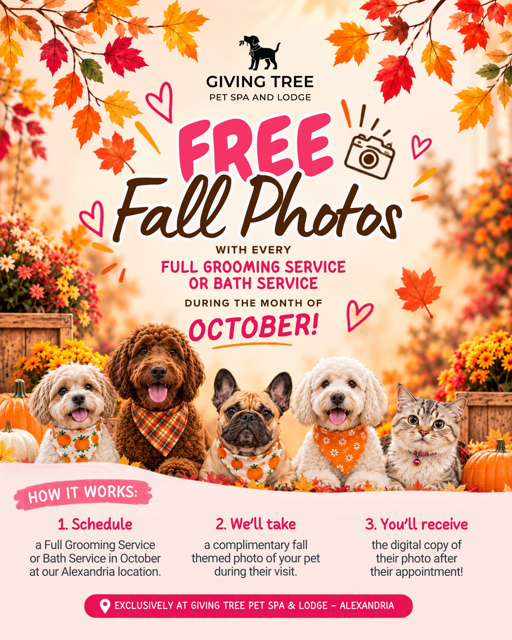 📸 FREE FALL PHOTOS ARE HERE! 🍂
This October, give your pet a fresh fall glow-up!
When you schedule a Full Grooming Service or Bath Service, we’ll take a complimentary fall-themed photo of your pet and send you the digital copy to keep.
Your pet will also go home wearing a complimentary fall bandana! 🍁
- Full Grooming Service OR Bath Service
- Complimentary fall-themed photo
- Digital copy sent to you
- Complimentary fall bandana
Available throughout the month of October and exclusively at Giving Tree Pet Spa & Lodge – Alexandria!
📞 571-257-6420�
📍 6118 Rose Hill Dr., Alexandria, VA 22310
Appointments may fill up quickly — book your pet’s fall glow-up!