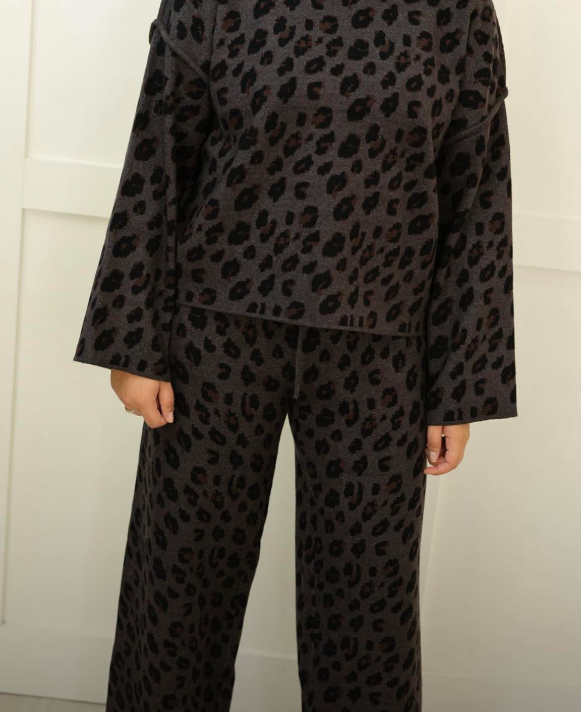 Cheetah setπ
