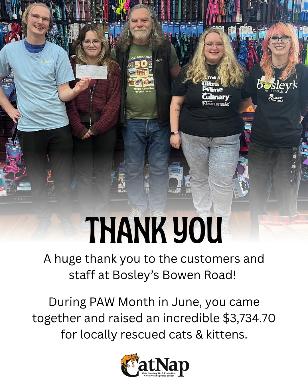 A huge thank you to the customers and staff at Bosley’s Bowen Road!
During PAW Month in June, you came together and raised an incredible $3,734.70 for locally rescued cats and kittens.
Every dollar raised goes directly to help the cats get the veterinary care, food and other supplies needed while in our care.
CatNap will always be very grateful for the support our community shows for the cats and kittens in care.