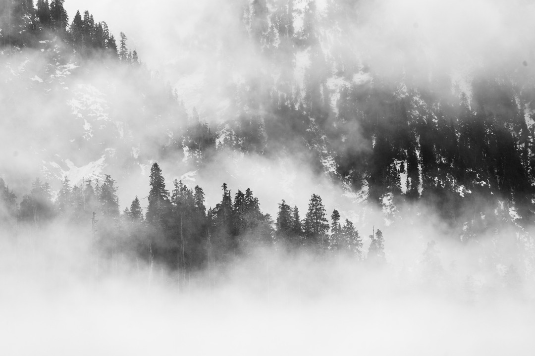 The misty mountains between Tofino and Port Alberni. So many incredible views along that drive.
#landscape #landscapelovers #landscapephotography #photography #landscape_captures #landscapelover #landscapephoto #landscape_lovers