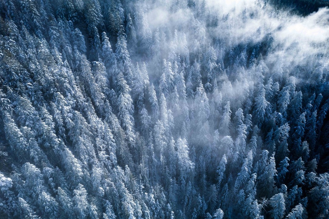 Misty snowy frosty mountaintop forests!
#landscape #landscapelover #landscapephoto #landscapelovers #nature #naturelover #naturelovers #natureshots