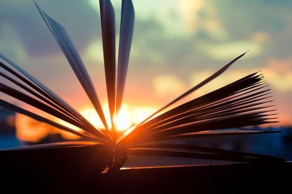 As the sun sets on our first year at Trinity, I am reminded of the Scripture reading we had at our closing service from Jeremiah. We do not boast in our wisdom or strength, but rather in the steadfast love, justice, and righteousness of our God. It is through His provision that our school launched. I am so thankful for His guidance in starting our school. I am so thankful for the families that supported us and entrusted us to partner with them for the education of their children. We cannot wait for the sun to rise on year two. Yet, we are infinitely more pleased that the Son is risen already, and we live in His hope and love.
#classicaleducation #classicaled #classicallutheraned #CCLE #LCMS #highschool #education #lutheranschools