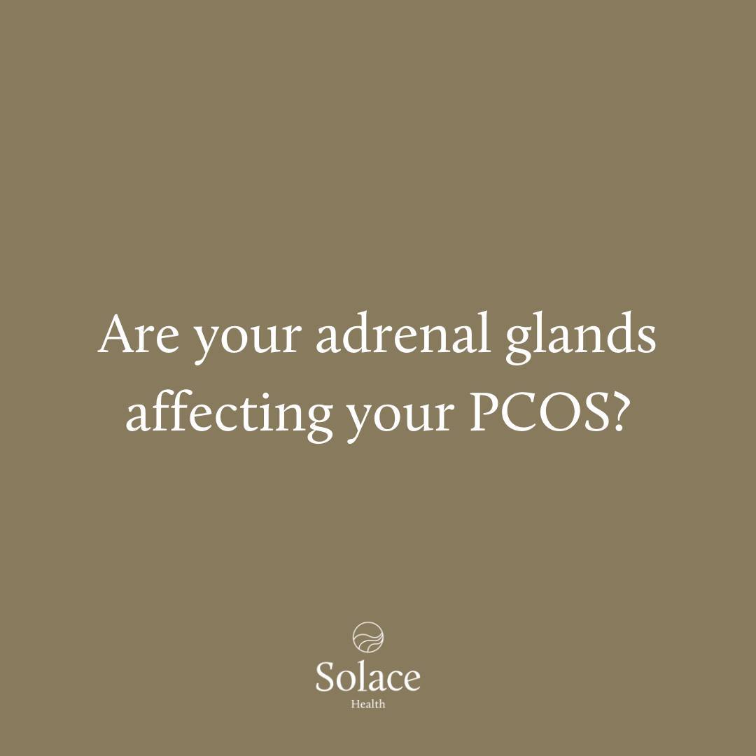 Understanding the underlying drivers of your PCOS is so important. Sometimes patients can show low androgens on their blood test but still experience androgen-like symptoms such as facial hair and acne. It is so important to have your DHEA-S tested when investigating PCOS so we can focus on restoring adrenal health.
Questions?
#PCOS #adrenalPCOS #DHT #naturopathadelaide