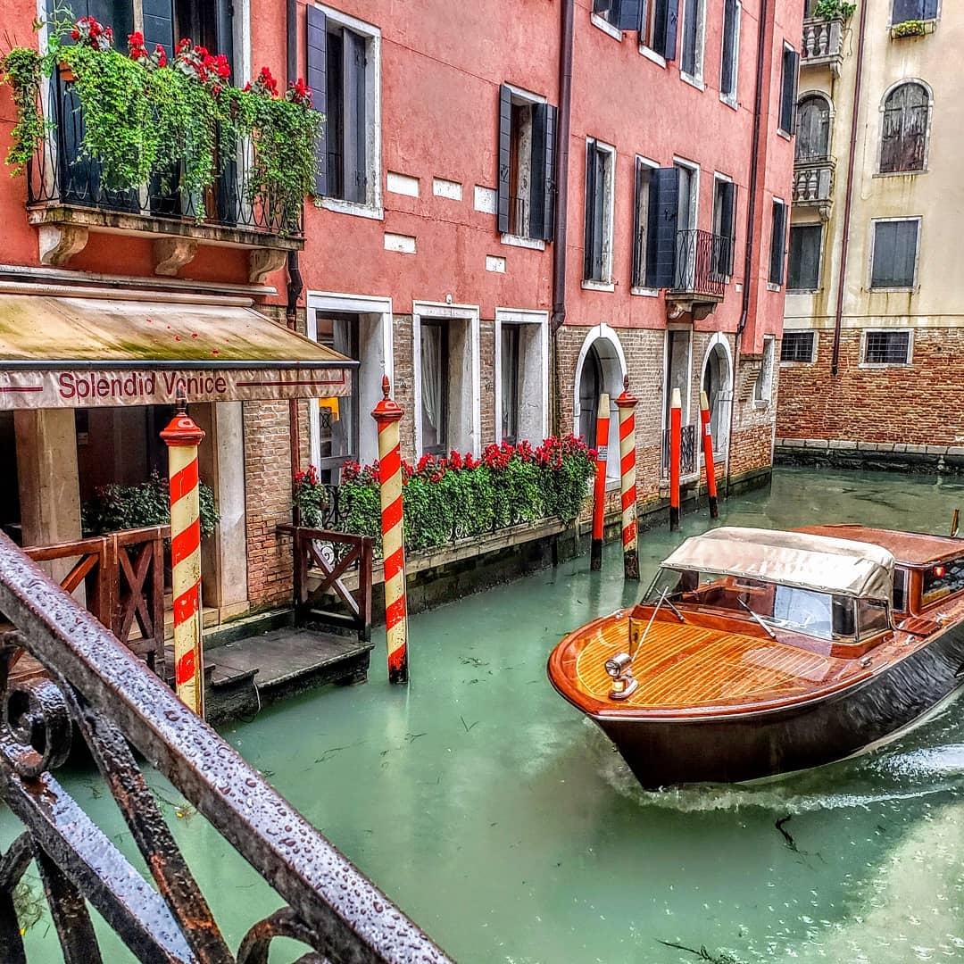 Venice was everything and more than I could have imagined. With 100s of canals, dozens of bridges and countless palaces, there was soo much to see and experience. A big thankyou to Luca from @shome_venice for an amazing day tour through #venice and @splendidvenice hotel for the 5 star experience!
.
.
.
.
#topitalyphoto #italy_stop #venetian #venicecanals #venice🇮🇹 #experienceofalifetime #travelexperience #wanderers #wandermore #onlyliveonce #traveltogether #italy_illife #lovevenice #travelcommunity #visitvenice #italylovers #veniceitaly #veneziacityitaly #travelsitaly #italytourism