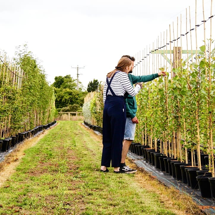 Nursery is now open by appointment!! Come have a look round and find your perfect tree 🌳🌲 #gardenlandscaping