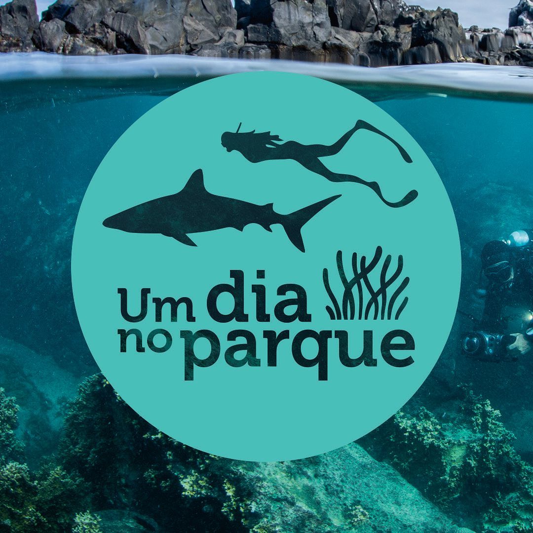 Série de Logotipos criados para o evento @umdianoparqueoficial organizado pela @redeprouc
#design #logo #graphicdesgin #branding #logos #designgrafico #logotipo #logotype #identidadevisual #logodesign #creativelogo
Foto: Enrico Marcovaldi