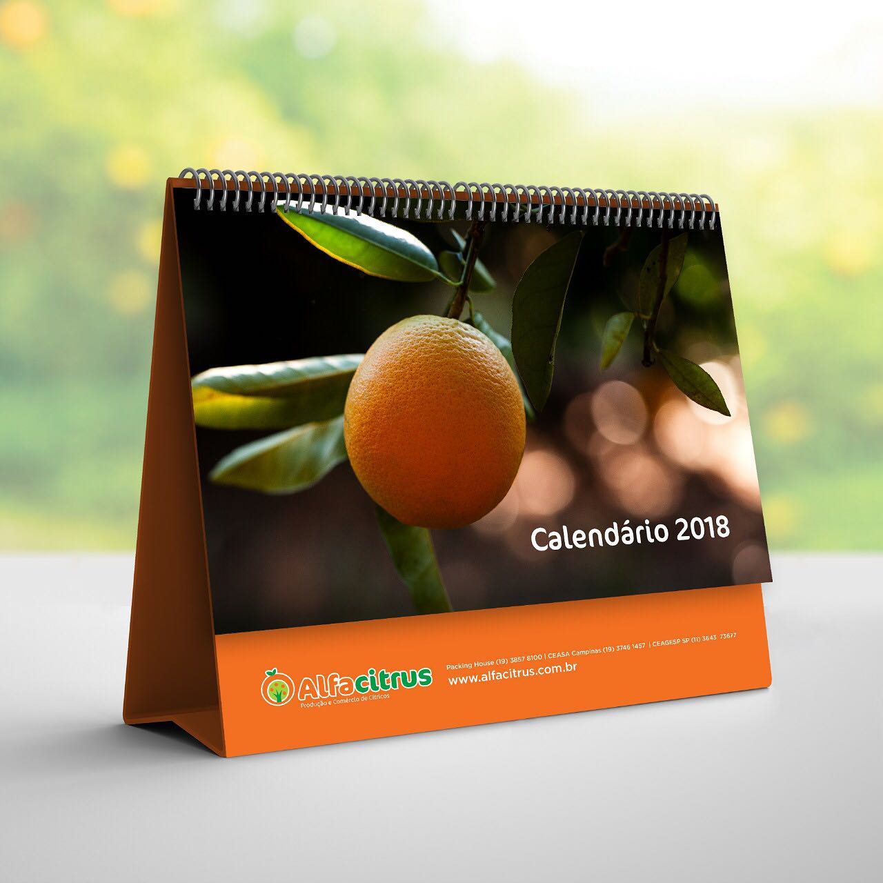 Calendário de mesa e folder institucional para AlfaCitrus. 2018
📷 @ferdandradefoto
#design #logo #graphicdesgin #branding #logos #designgrafico #logotipo #logotype #identidadevisual #logodesign #creativelogo