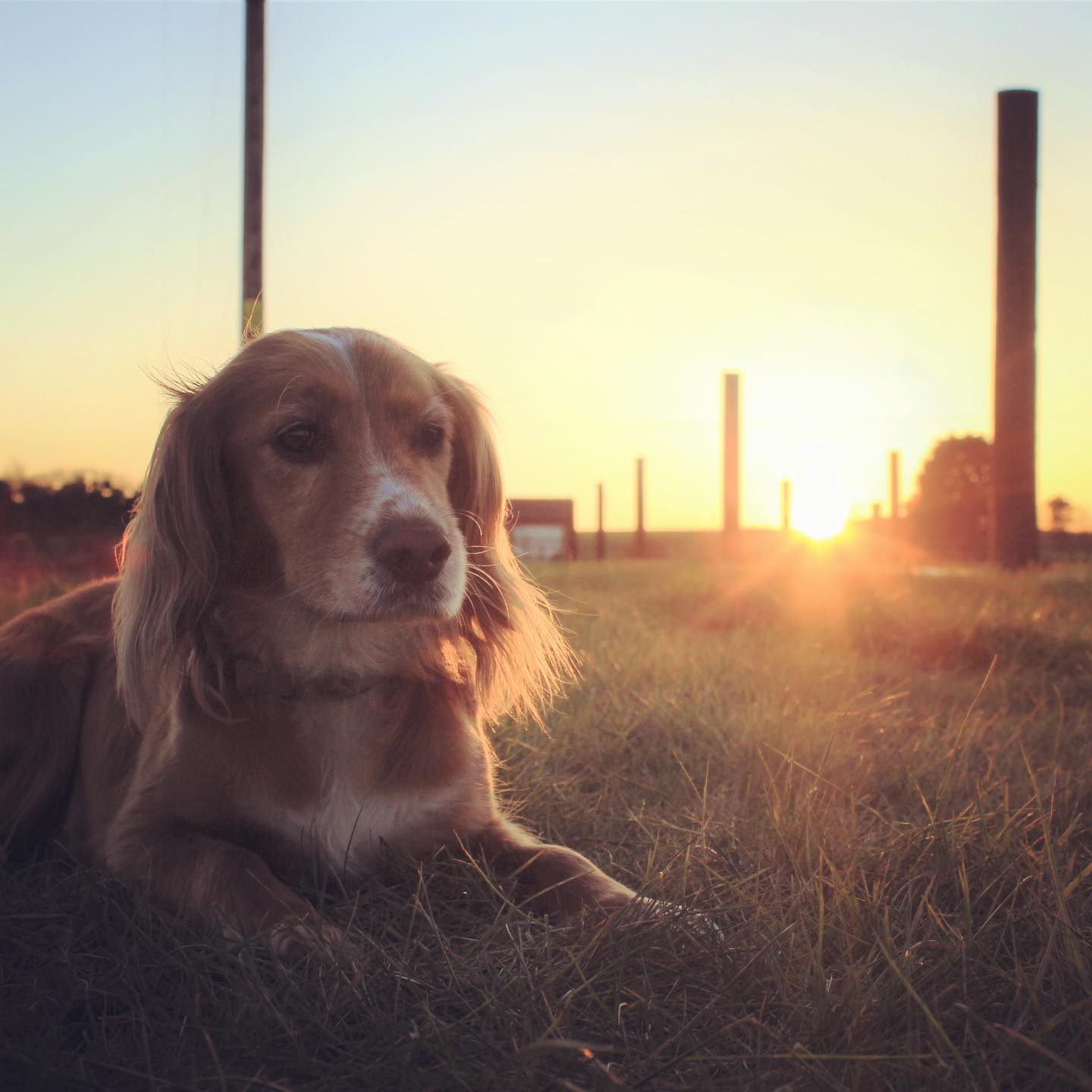 Spring has sprung and we’re racing to get the next potted tree section finished 🎉