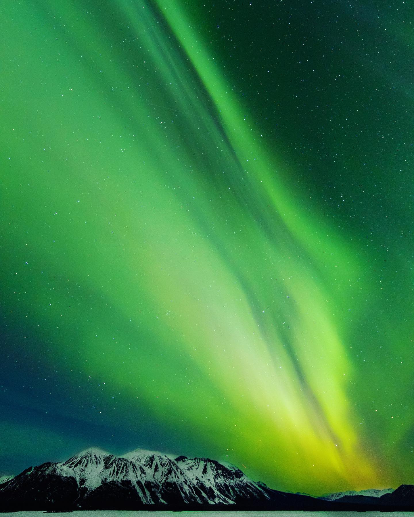 One of the best Aurora displays I have ever seen. The yellow green glow of Aurora illuminated the snow capped peaks of Atlin mountain as it stretched across the night sky. After many hours outside at -25 degrees with freezing fingers and toes I captured this photo, one of the last photos of the evening.
I've made a few prints of this photo now, it looks absolutely stunning on canvas or framed.
.
.
.
.
.
#explorebc #hellobc #aurora #northernlights #explorecanada #northernbc #atlin #astrophotography #landscapelover #marvelshots #natureperfection #natgeoyourshot #natgeotravel #natgeolandscape #discoverearth #wonderful_places #TheGlobeWanderer #discoverglobe #fantastic_earth #earthfocus #OurPlanetDaily #igshotz #travelandlife #huntgram #instagoodmyphoto #worldplaces #ig_udog