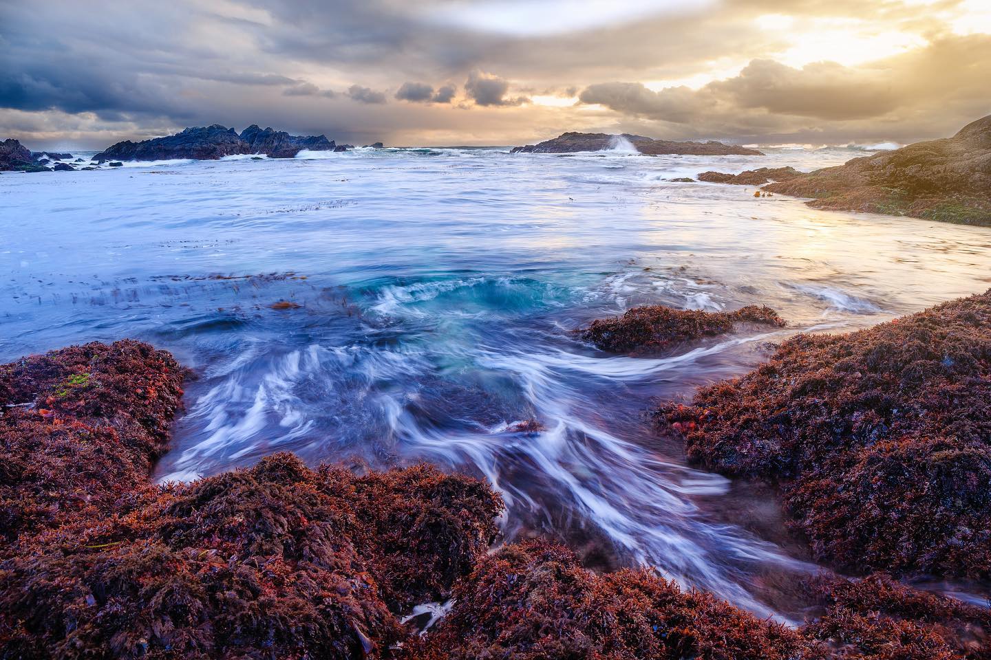 I've got a huge print of this photograph on the way! Can't wait to see it. This is big beach in Ucluelet, taken in the winter.
.
.
.
.
.
#landscapephotography #ucluelet #ig_landscape #hellobc #explorebc #explorevancouverisland #explorecanada # seaweed #ocean #oceanlovers #Pacific #tourismucluelet