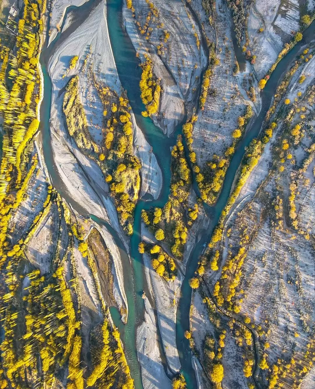 Turning Gold, the most colourful season of the year🍂
.
.
Courtesy @tashi_travelphoto
#ladakhbackpackers #travelholic #backpacking #lehladakh #backpackers #wanderlust #gopro #goprohero9 #instagram #nikonindiaphotography #ladakh #backpackertrails  #adventurelover #himalyandiaries #himalayas #ladakh2021 #travelphotography#incredibleindia  #pangonglake #khardungla #nubravalley #royalenfieldhimalayan #royalenfield #ladakhbiketour #ladakhbiketrip #biking #neerajchopra #ladakhdiaries#followforfollow #adventurelover #himalyandiaries #himalayas #ladakh2021 #follow4followback