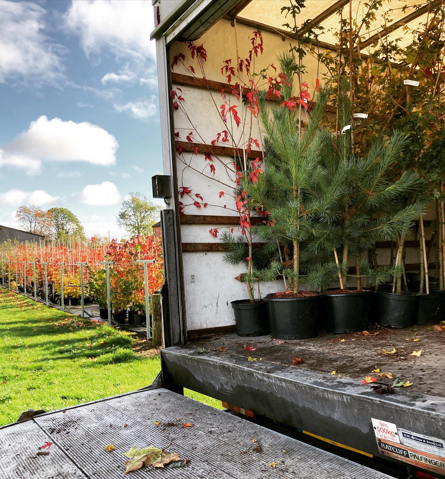 Out and about on weekend deliveries 🚚 Weekend drops often work well for the nurseries clients.
.
.
.
#landscapegardening #treeplanting #autumncolours