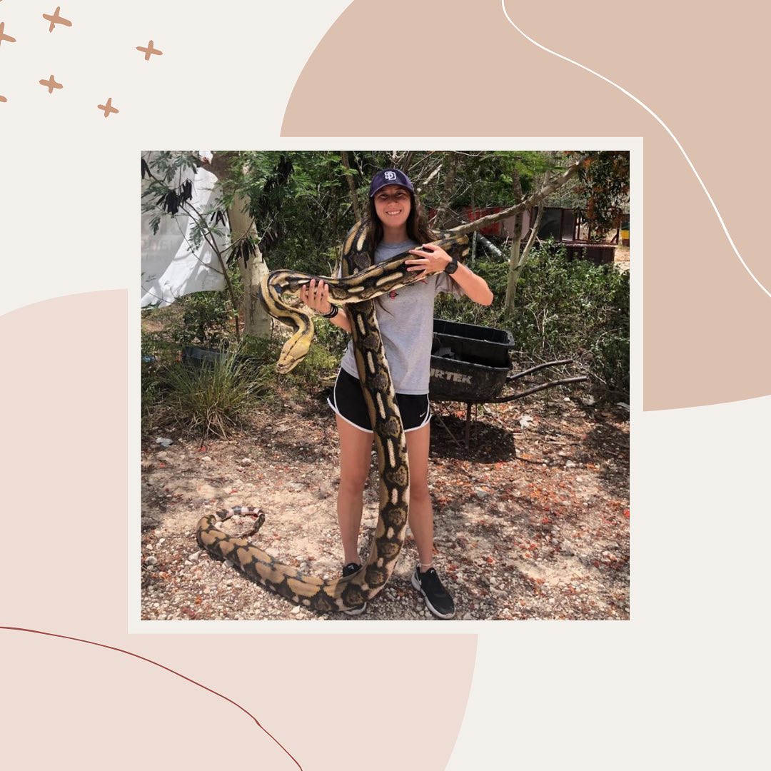 Meet Taylor Kallmann, a third year Biology major with an emphasis in Zoology at San Diego State University..
*
Taylor is currently involved in Dr. Rulon Clark’s behavioral ecology research lab on her university’s campus earlier this year, where she assists with a project studying personality and behavior in rattlesnakes!
*
Taylor has many interests and through WSS she has been able to make life-long friends who support all her goals.
*
*
*
#wss #womeninsciencesociety #womeninSTEM #memberspotlight #biology #zoology