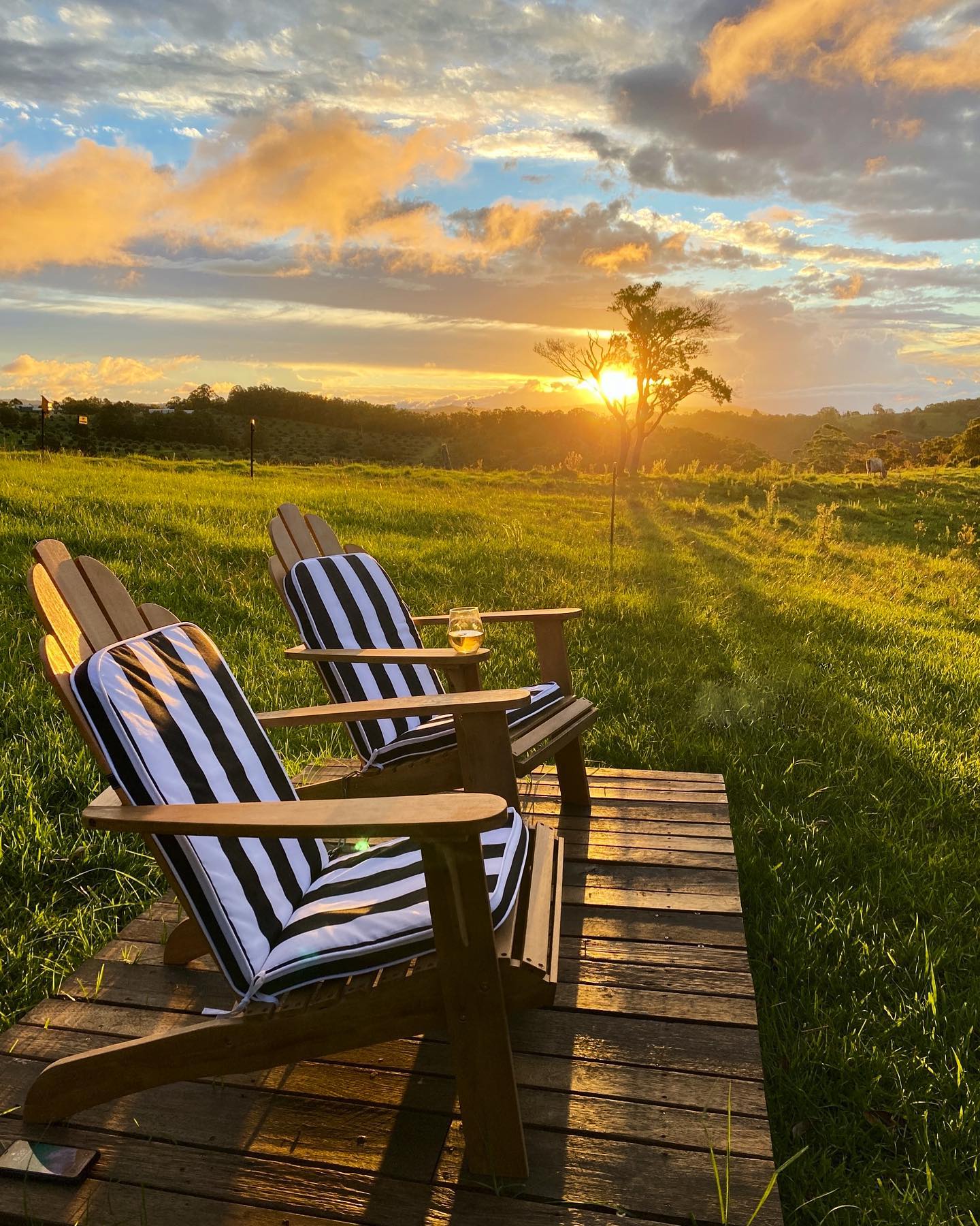 Fyrefly Sundowners 👌
Open for bookings now!
#fyreflyretreat #sundownders #scenicrim #beechmont #countryside #sunset #weekendgetaway