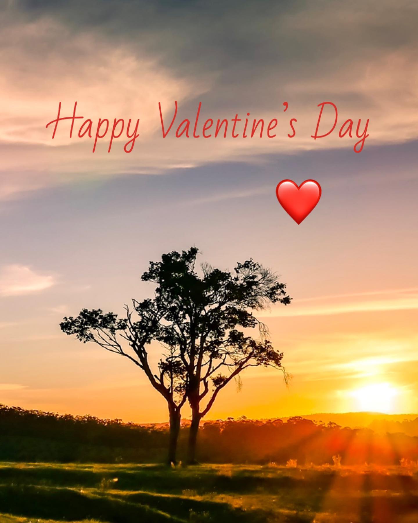 Sunset on Valentine’s Day ❤️
#fyreflyretreat #sunset #valentinesday #scenicrim #visitscenicrim #beechmont #getaway #tinyhouse #couplesgetaway