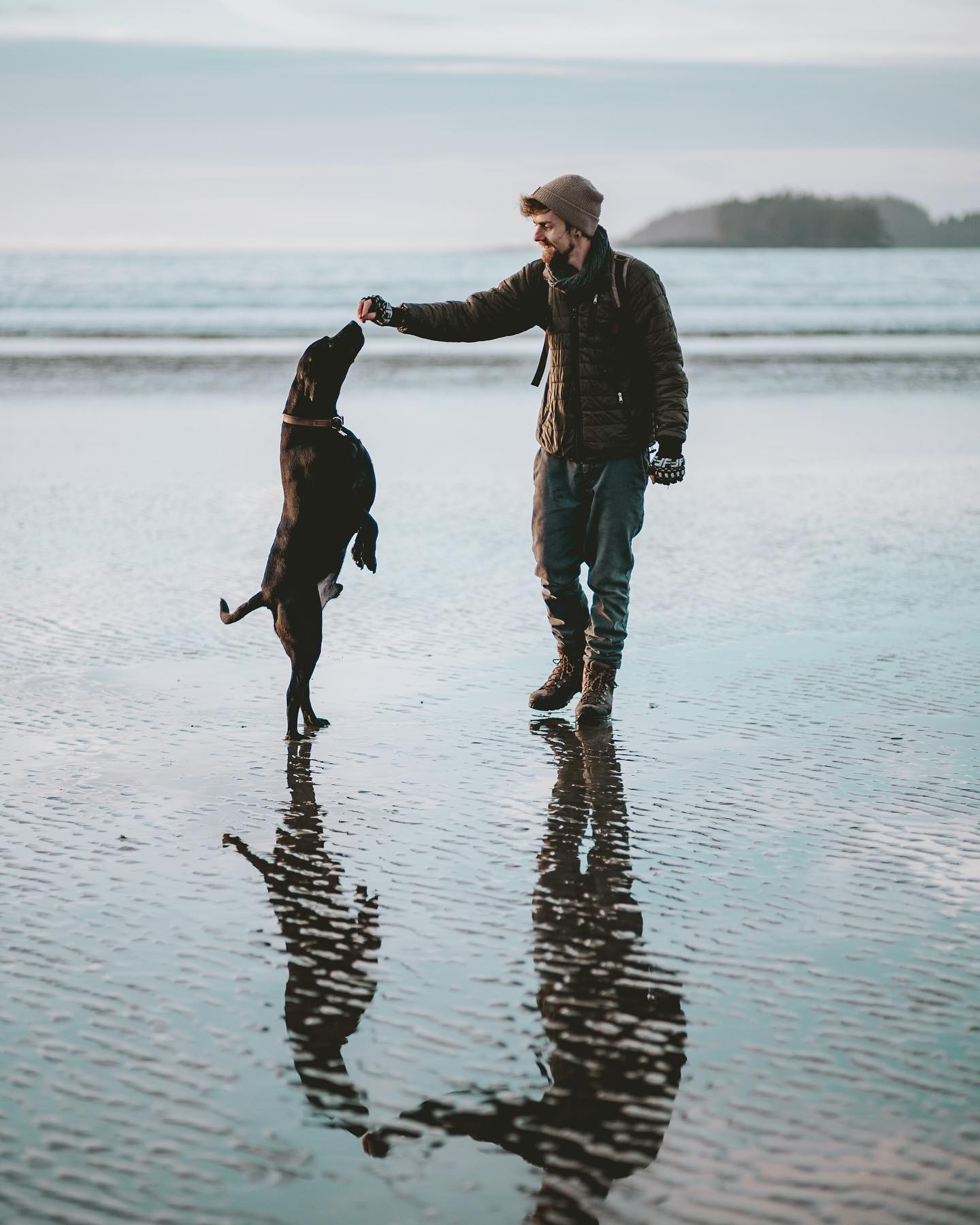 Spirit guide
📷@meenikky