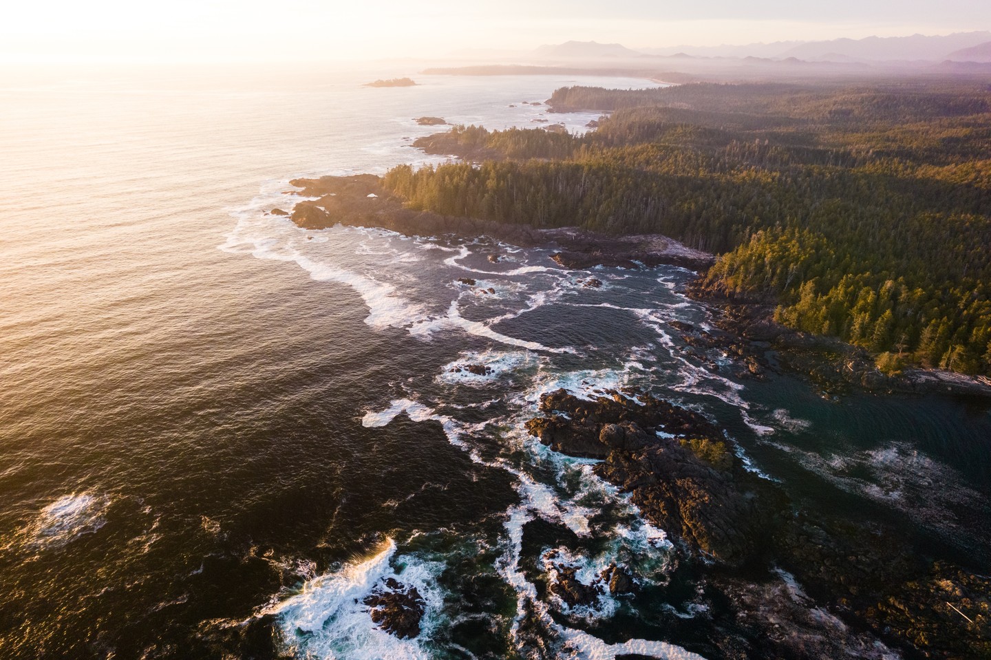 The rugged west coast of Vancouver Island fading into the distance.
I always struggle with what to write on posts, I'm not really a writer. I don't really have anything to "say" with words. I'm a visual artist. I share something visual and people either get it or they don't. We don't really need any more information. I just want people to look at an image and feel something, feel inspired by the beauty of nature and realize that its our shared responsibility to help protect it. I learn visually, I understand visually.
Nature is beautiful, let's protect it. That really should be the description on everything I post.
#ucluelet #pacificrim #oceanlovers #naturephotography # dji #landscapelovers