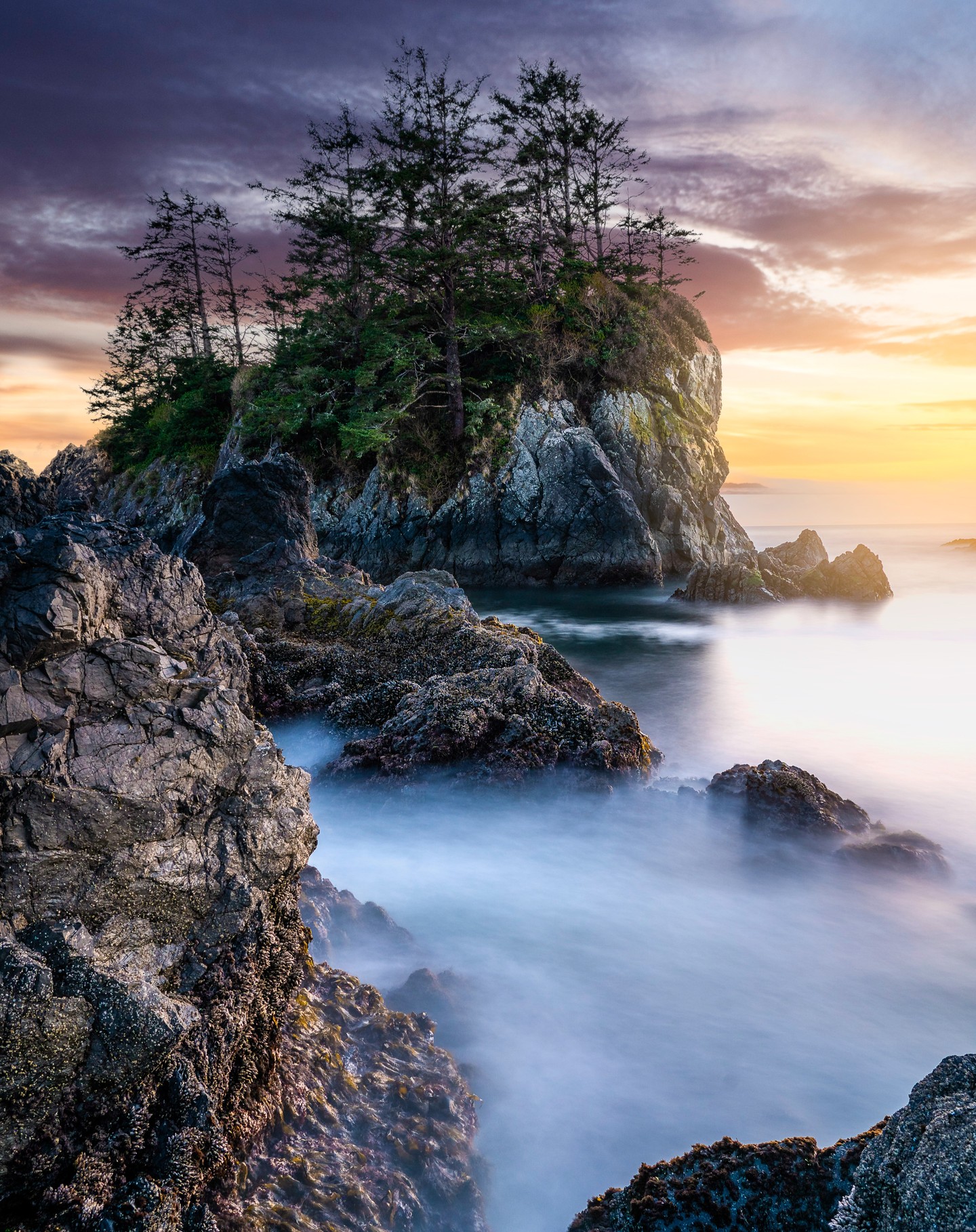 I was out shooting at sunset a couple of nights ago, I had a great time but I was almost positive I hadn't captured any good images. I was very surprised that this one turned out as good as it did! Taken in Ucluelet, BC less than a kilometre from where I live.
#Ucluelet #explorebc #hellobc #explorevancouverisland #landscapelover #longexposure #sunset #naturephotographer #tofino #oceanlover