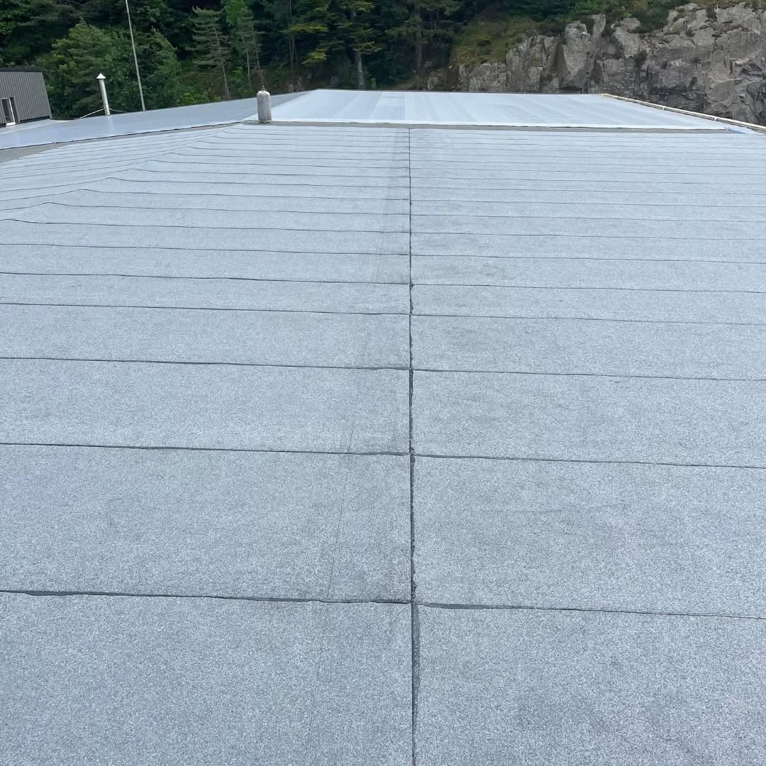 God sommer til alle sammen 😎🌞