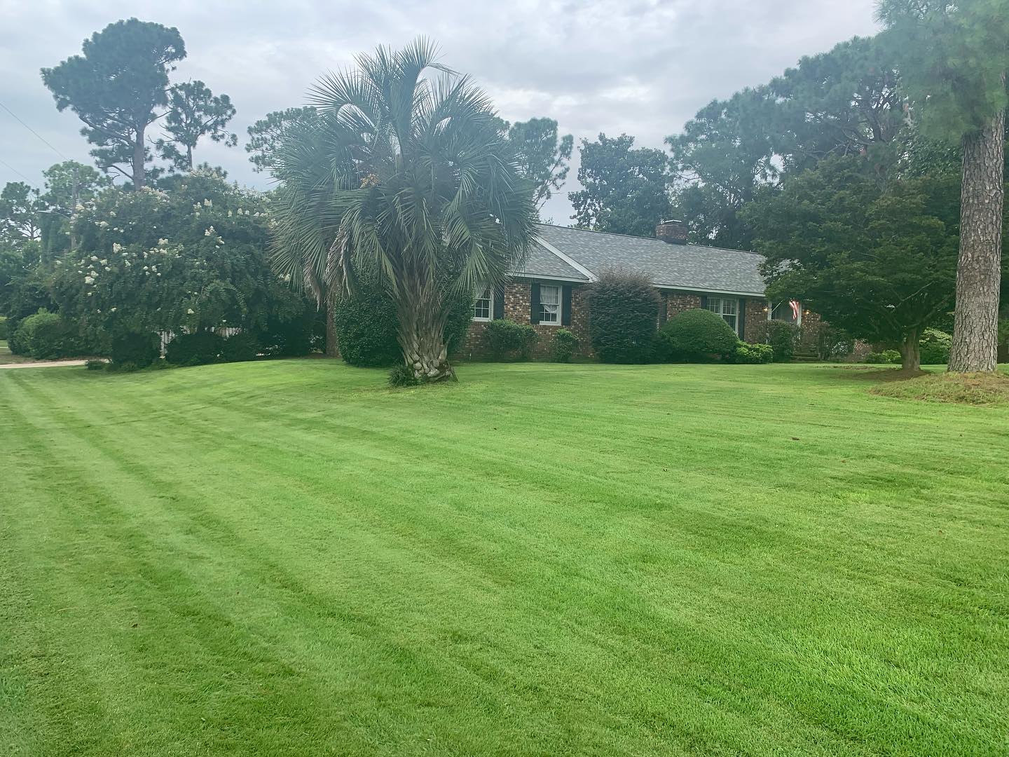Renegar Brothers Lawn and Landscape is your number one choice for quality lawn maintenance in Wilmington and surrounding areas!
Call us now for a free estimate!