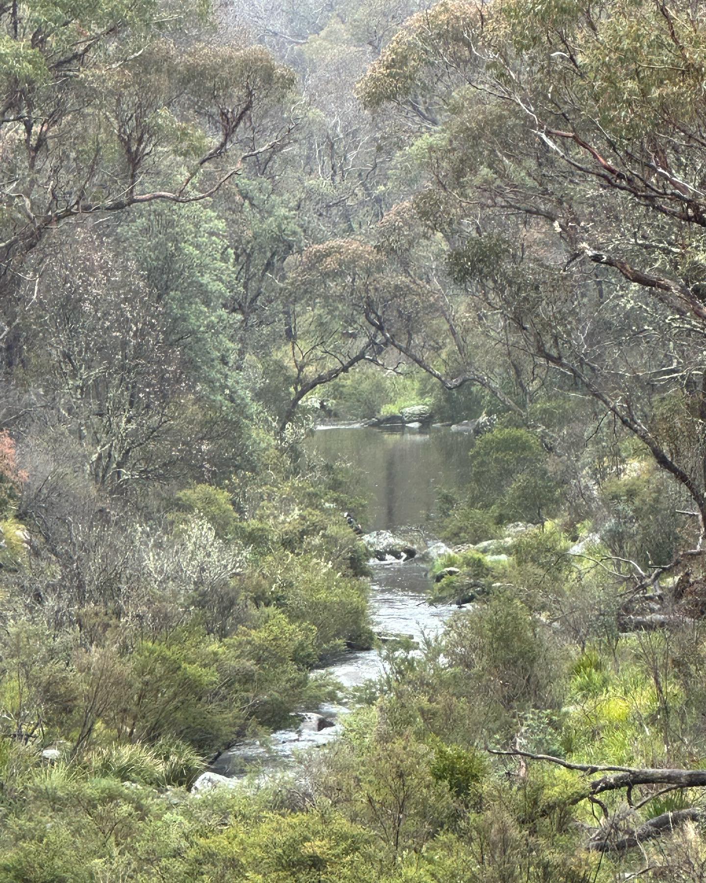 For many of us, Fly fishing is not just about catching fish it’s about the places we go. Often remote and well off the beaten track. Our Gear Cases will make sure your gear gets there safely and ready to fish when you are. www.geartruck.com.au #flyfishing #flyfishingaustralia #flyfishingtravel #nobrokenrods #nobrokenrodsanymore #flylife #flyfishingvictoria #flyfishingnsw #flyfishinglife #flyfishinggear #flyfishingadventures #flyfishingnz #flyfishing #redtruckflyfishing #redtruckflyrods #dieselflyrods