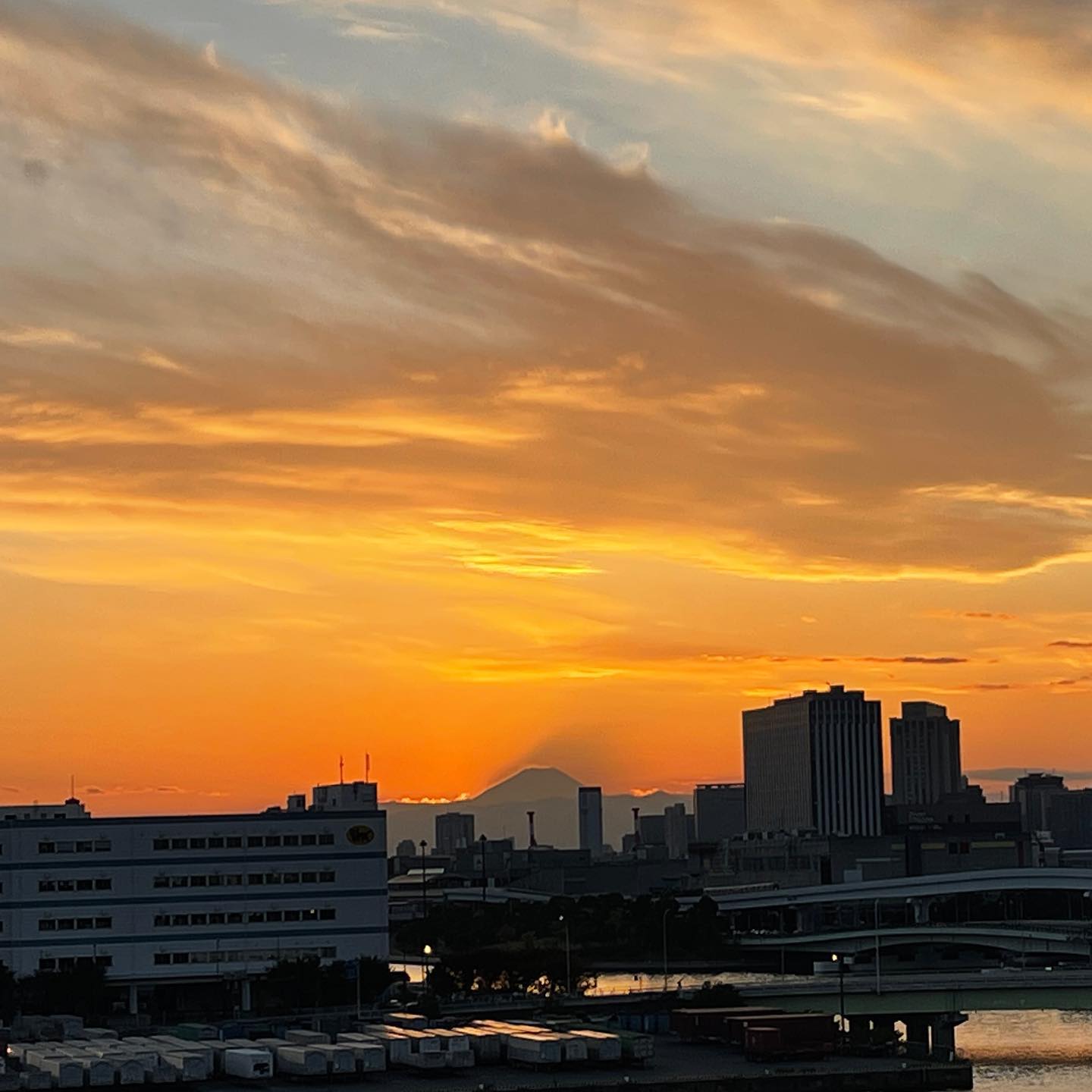 東京癒しフェアにお越しいただき、遠くから応援参加いただき、ありがとうございました^ ^
次は11/8、今年最後の皆既月食に行う音のイベントでお会いしましょう。
癒しフェアで販売してたインターステラースカーフも近々ウェブショップで再販予定です。
#iyashifairtokyo #interstellarscarf #soundactivation #lunareclipse #alchemycrystalbowl #yantarajiro