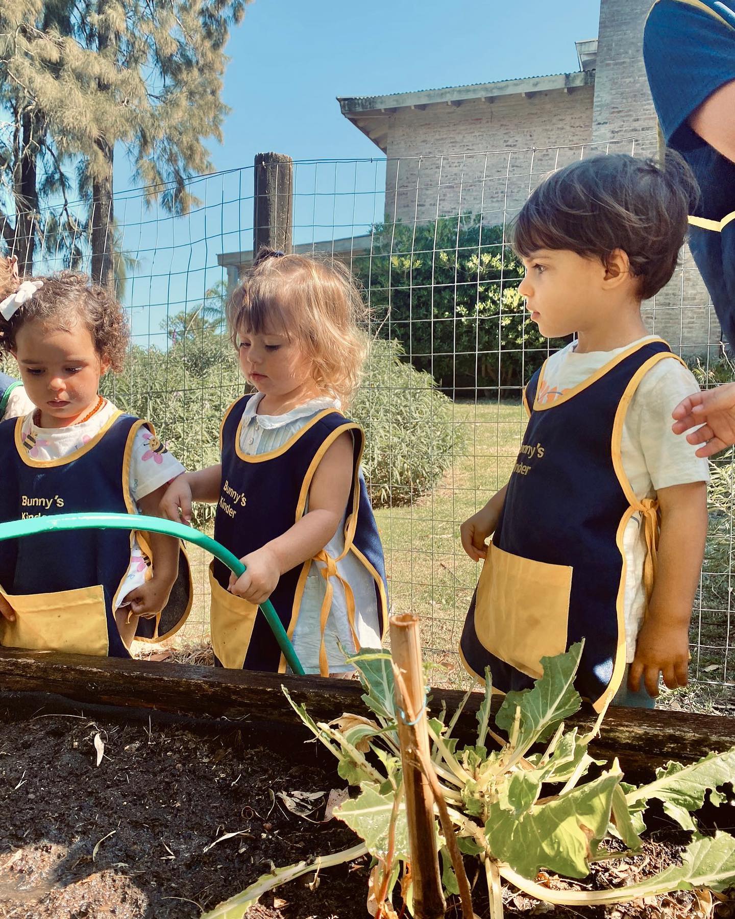First days