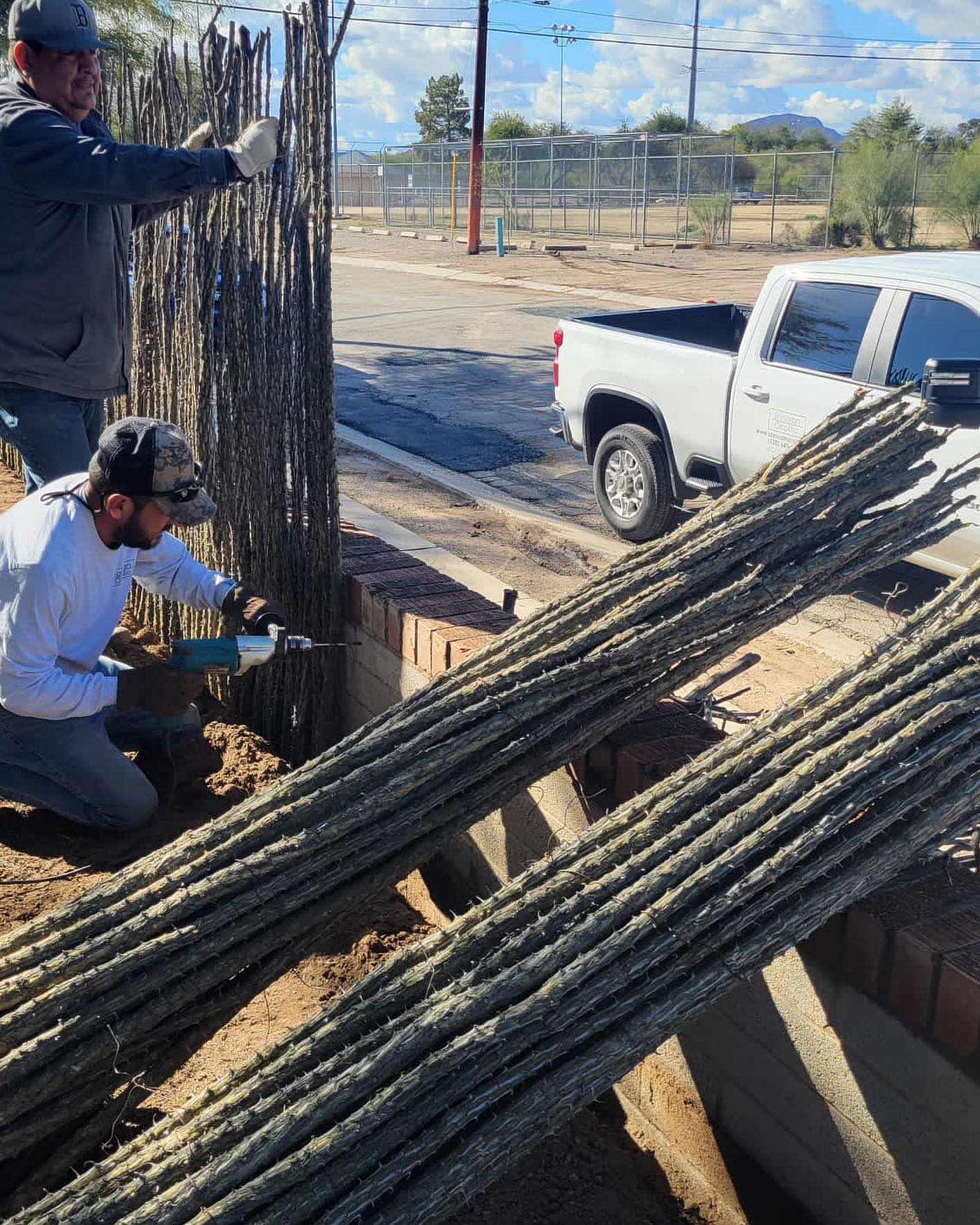 Get a free quote today and enjoy the benefits of our professional installation services.
#sonoranocotillo #ocotillofence #livingfence #sonorandesert #tucsonaz #phoenixaz #southerncalifornia #desert #desertvibes #ocotilloplant #desertdwellers #desertlife #scottsdale #plantnursery #desertscape #desertliving #desertstyle #fencedesign #desertlandscape #homeandgarden #calilandscape #desertarchitecture #stickfence #ocotillo #fenceideas #desertoasis #deserthouse #desertbloom #desertgarden #deserthouse #deserthome